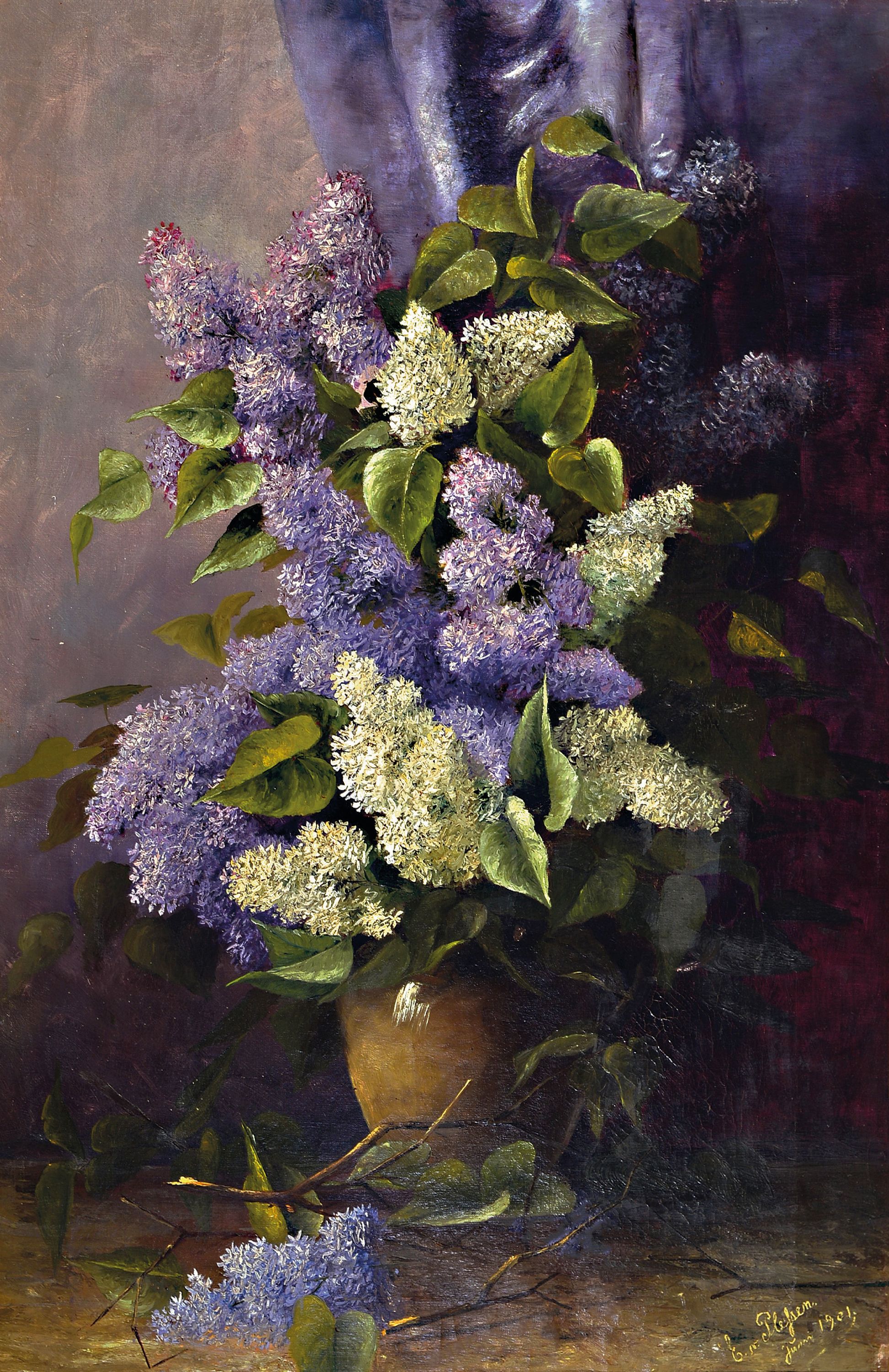 Image 26995279 - E. von Plessen, datiert 1901, Stillleben mit violettem und weißem Flieder vor violetter ...