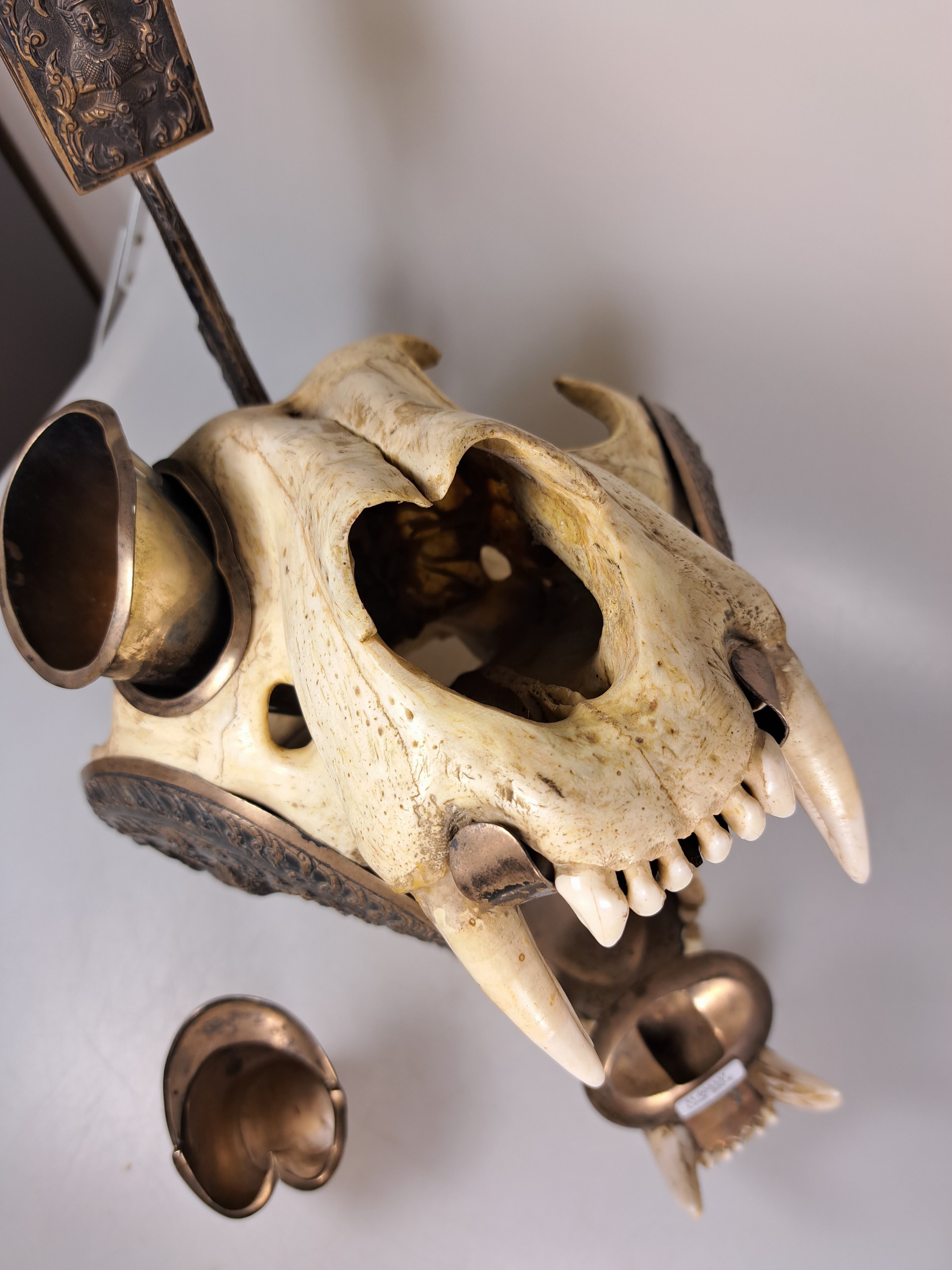 Detail l: Außergewöhnliches Raucherset, Indien, um 1920-30, Schädel eines Bären mit Applikationen aus Silber (geprüft), diese teils reliefiert mit ...