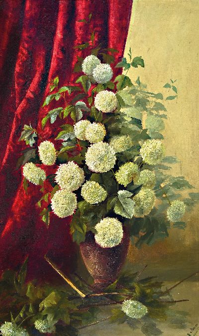 Image E. von Plessen, datiert 1901, Stillleben mit weißen Schneeball vor roter Draperie, ...