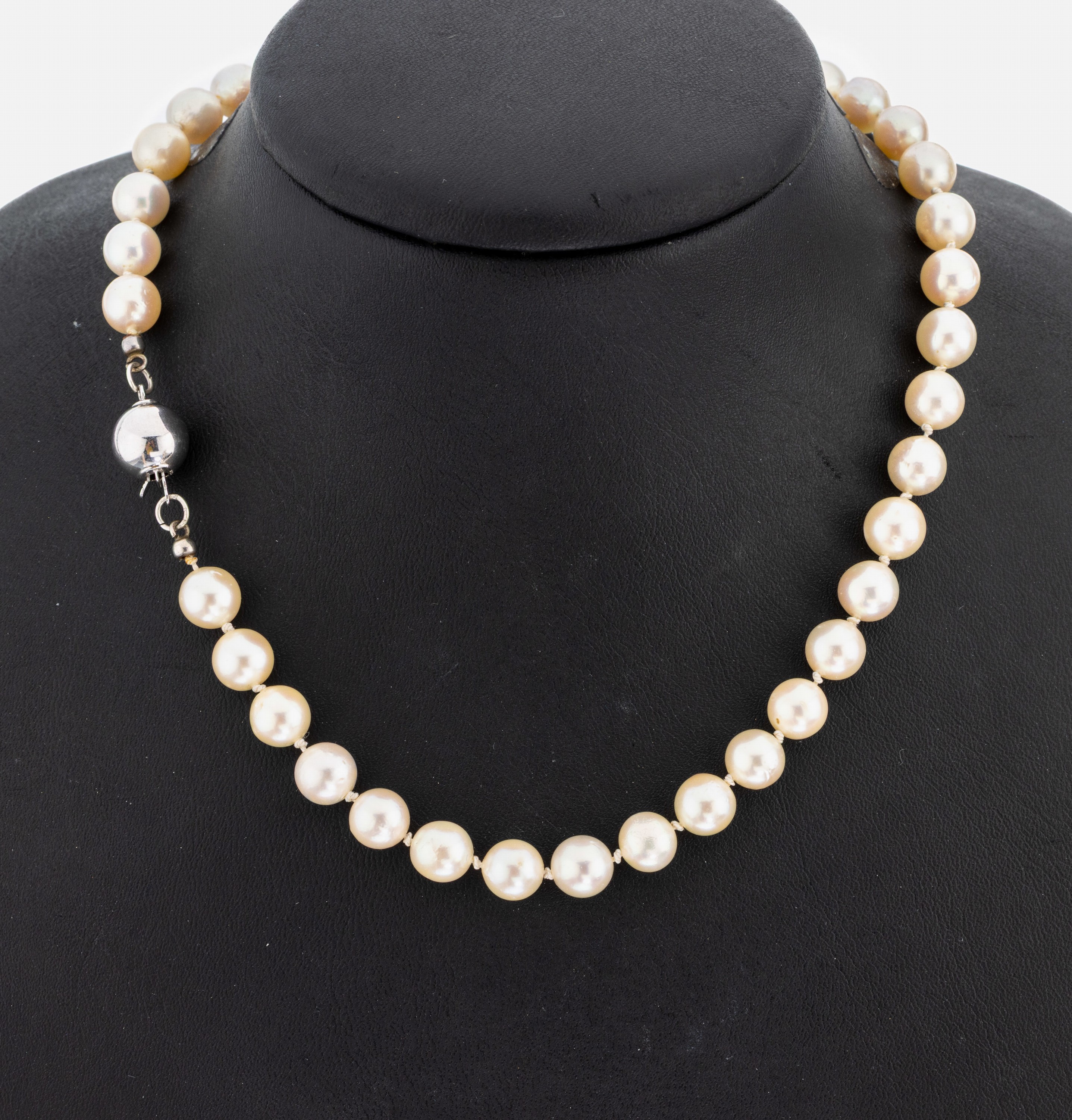 Image 26997756 - Zuchtperl-Collier, Akoyazuchtperlen, D. ca.7.4-7.9 mm, schönes Lüster, L. ca. 97 cm, ...