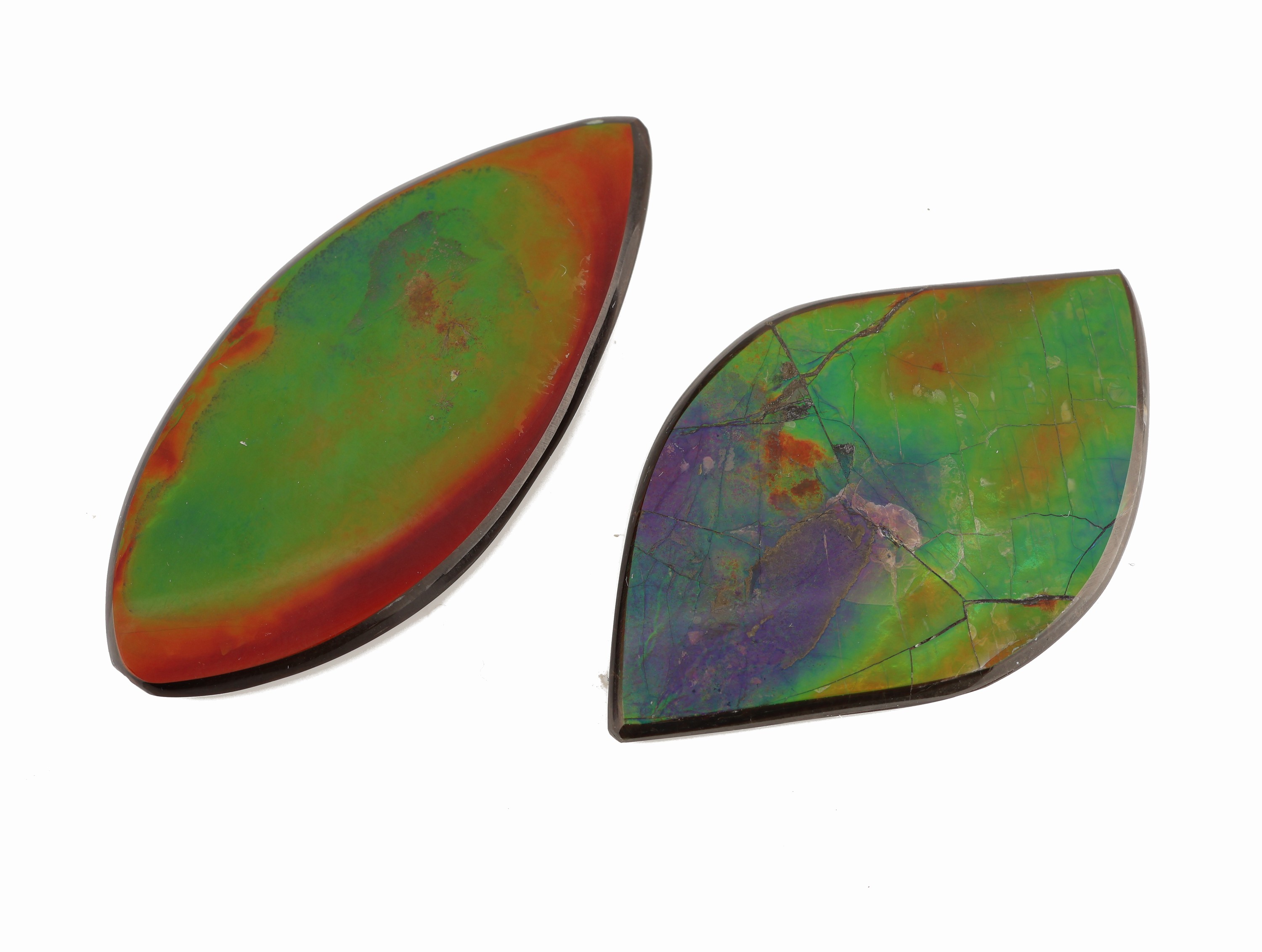 Image 26997769 - Lot 2 lose Ammolite, zus. ca. 77.77 ct, 1 x 42.25 ct, 1 x 35.52 ct, Herkunft Provinz ...