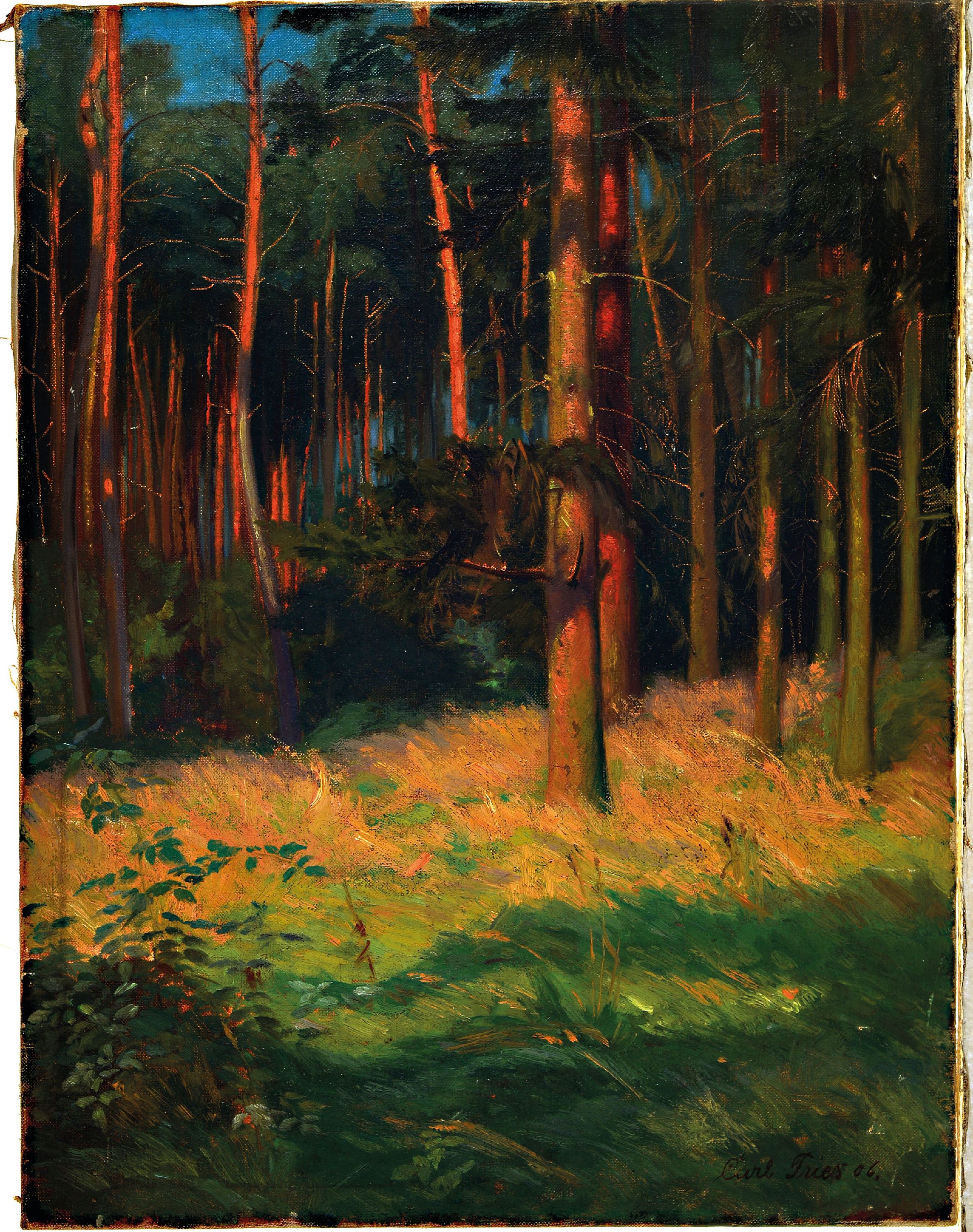 Detail k: Carl Fries, 1876 Frankfurt/Main-?, "Waldinterieur" so auf altem Etikett bez., rechts unten signiert und datiert 1906, Öl/Lwd, ungerahmt ...