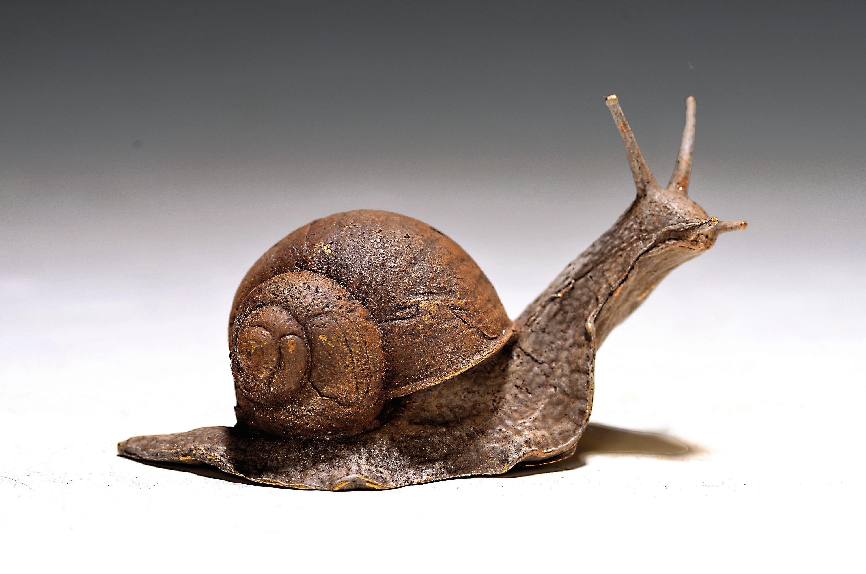 Image 26998452 - Wiener Bronze, signiert Franz Bergmann, Schnecke, Bronze, farbig staffiert, ...