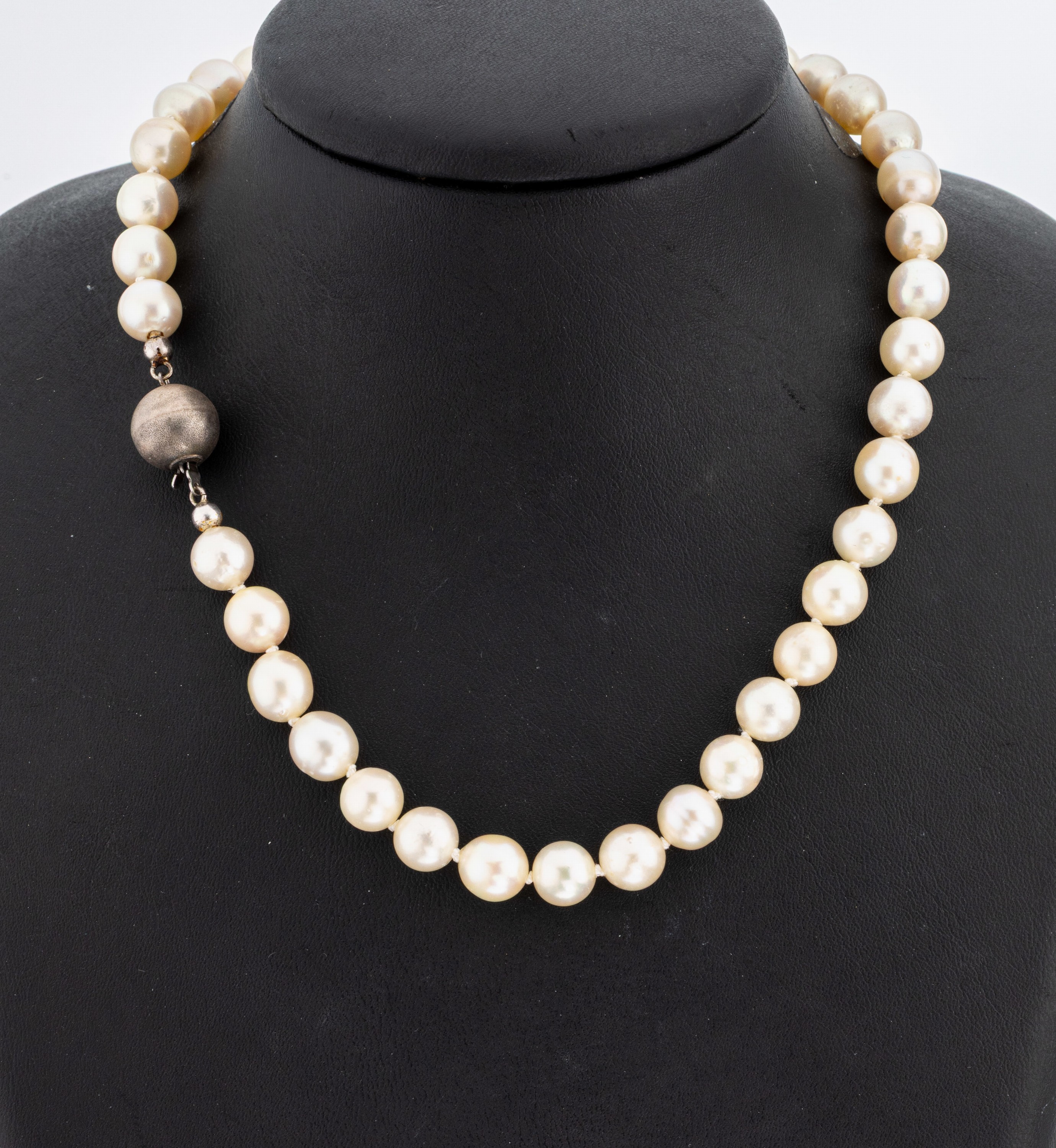 Image 26998599 - Zuchtperl-Collier, Akoyazuchtperlen, l. unrund, D. ca. 8.3-8.5 mm, L. ca. 96 cm, ...