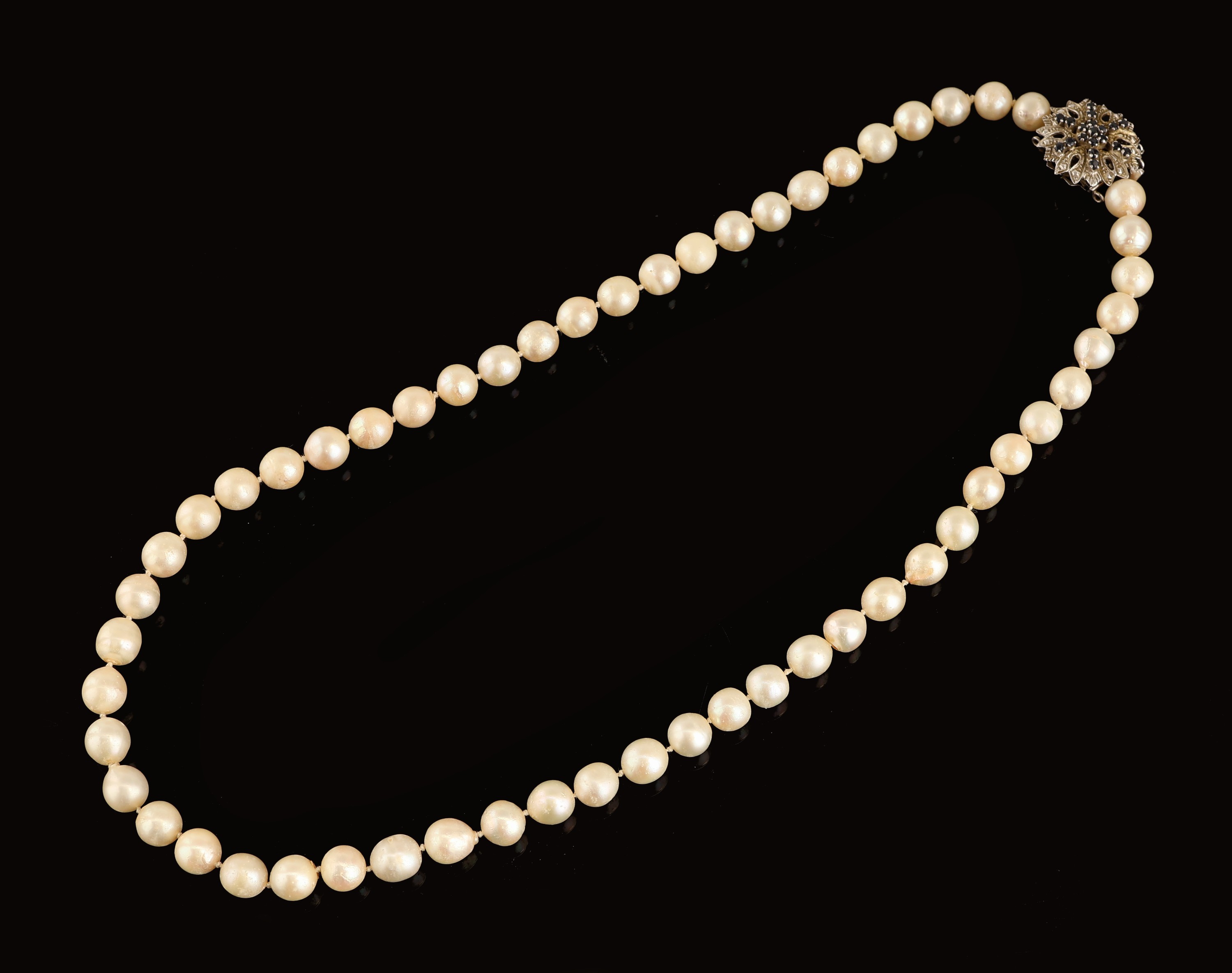 Detail d: Zuchtperl-Collier mit 14 kt Gold Saphir- Schmuckschließe, WG 585/000, l. unrunde Akoyazuchtperlen, D. ca. 7.5-8 mm, Kastenschloss mit ...