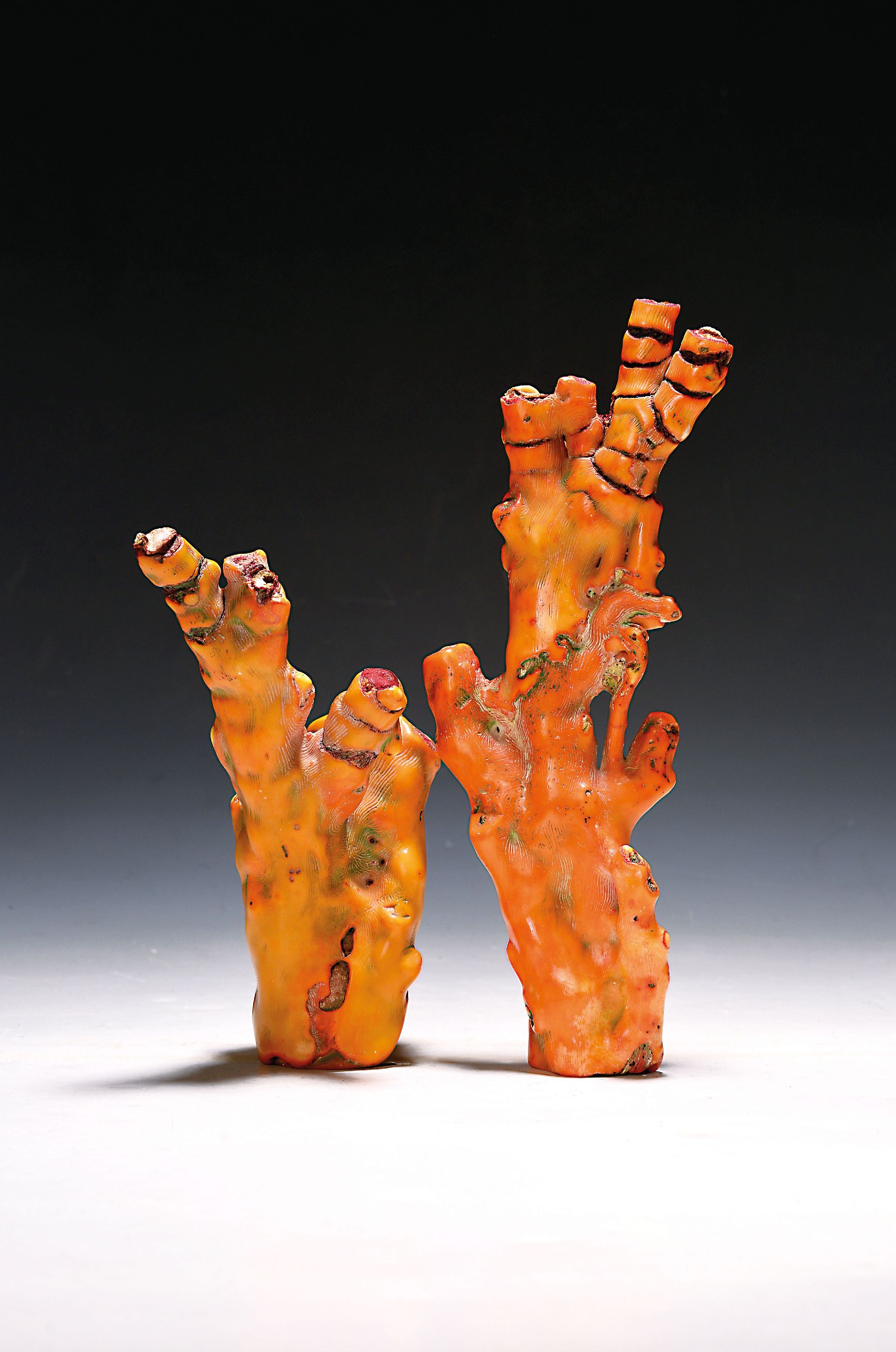 Image 27001534 - Zwei große Korallenäste, 20. Jh., einmal H. 24.3 cm 455 g und einmal H. 18 cm, 440 g, ...