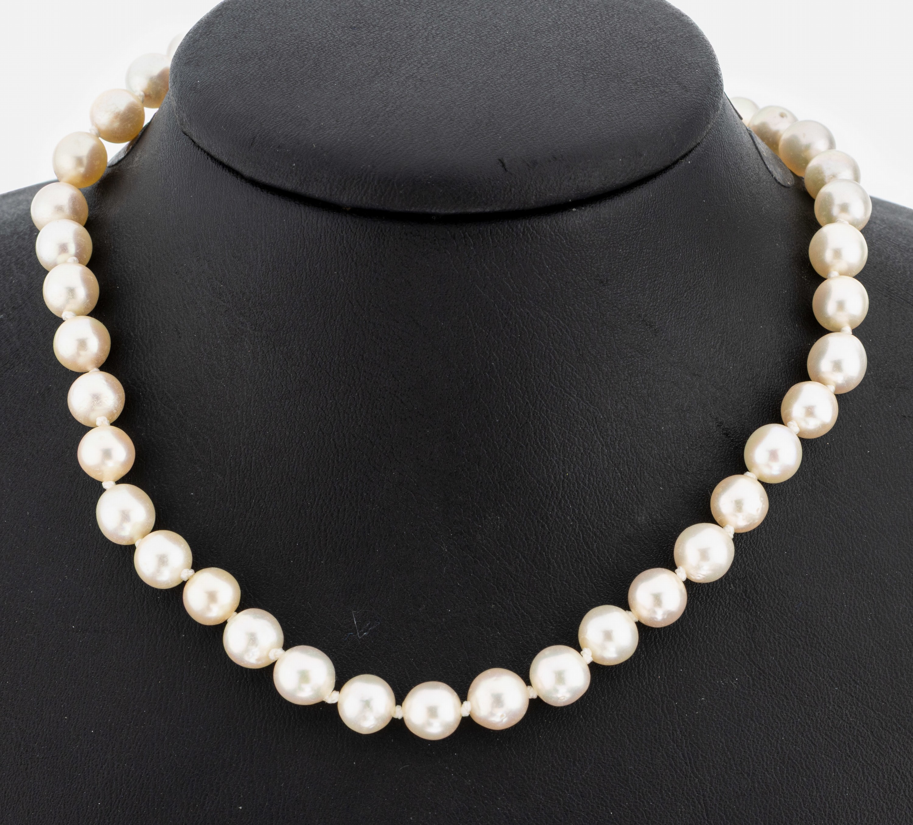 Image 27005563 - Überlanges Perl-Collier, endlos, Akoyazuchtperlen, D. ca. 7.5-7.8 mm, L. ca. 250 cm