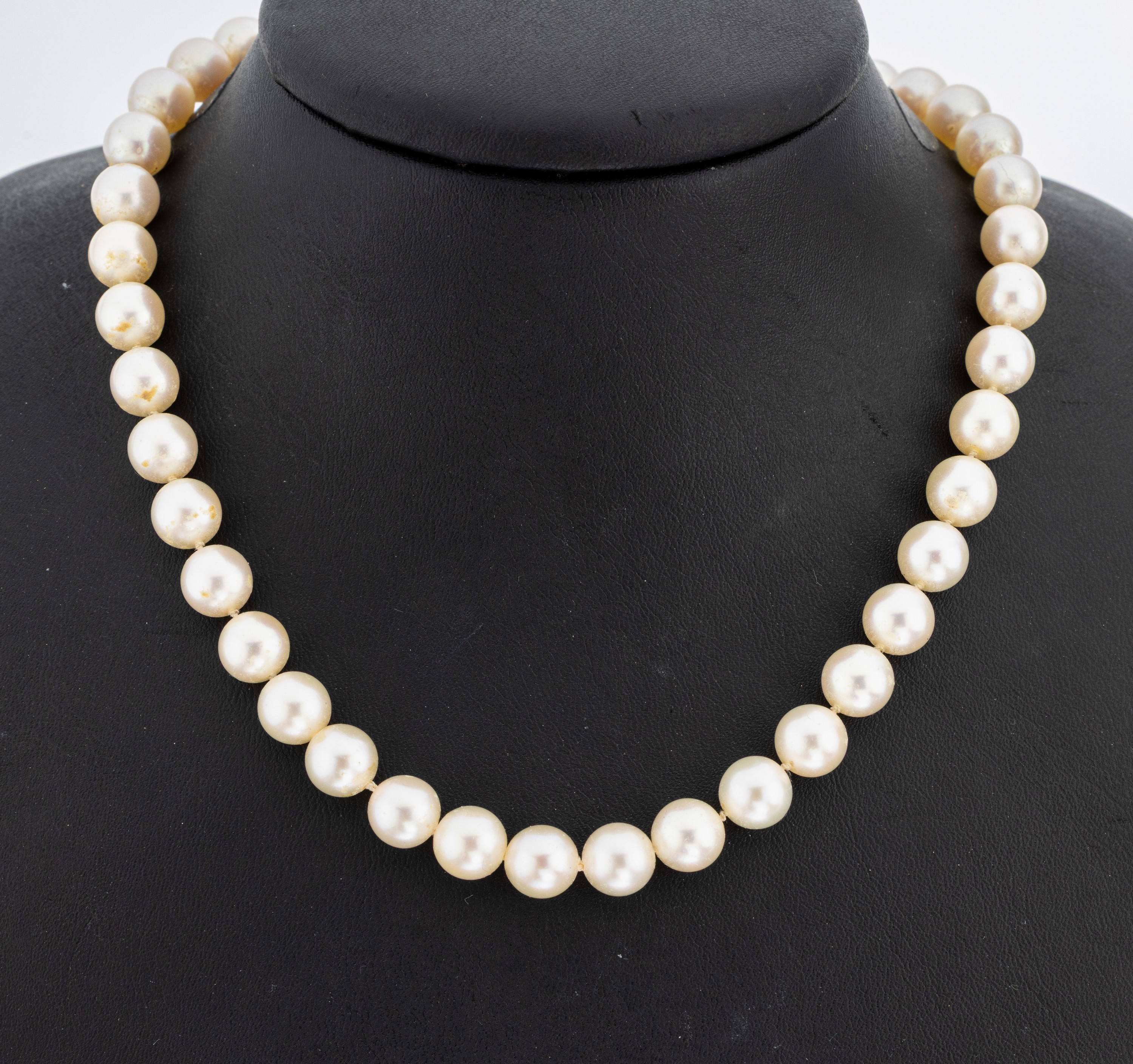 Image 27005574 - Perl-Collier, endlos, Akoyazuchtperlen, D. ca. 7.7-8.2 mm, L. ca. 80 cm