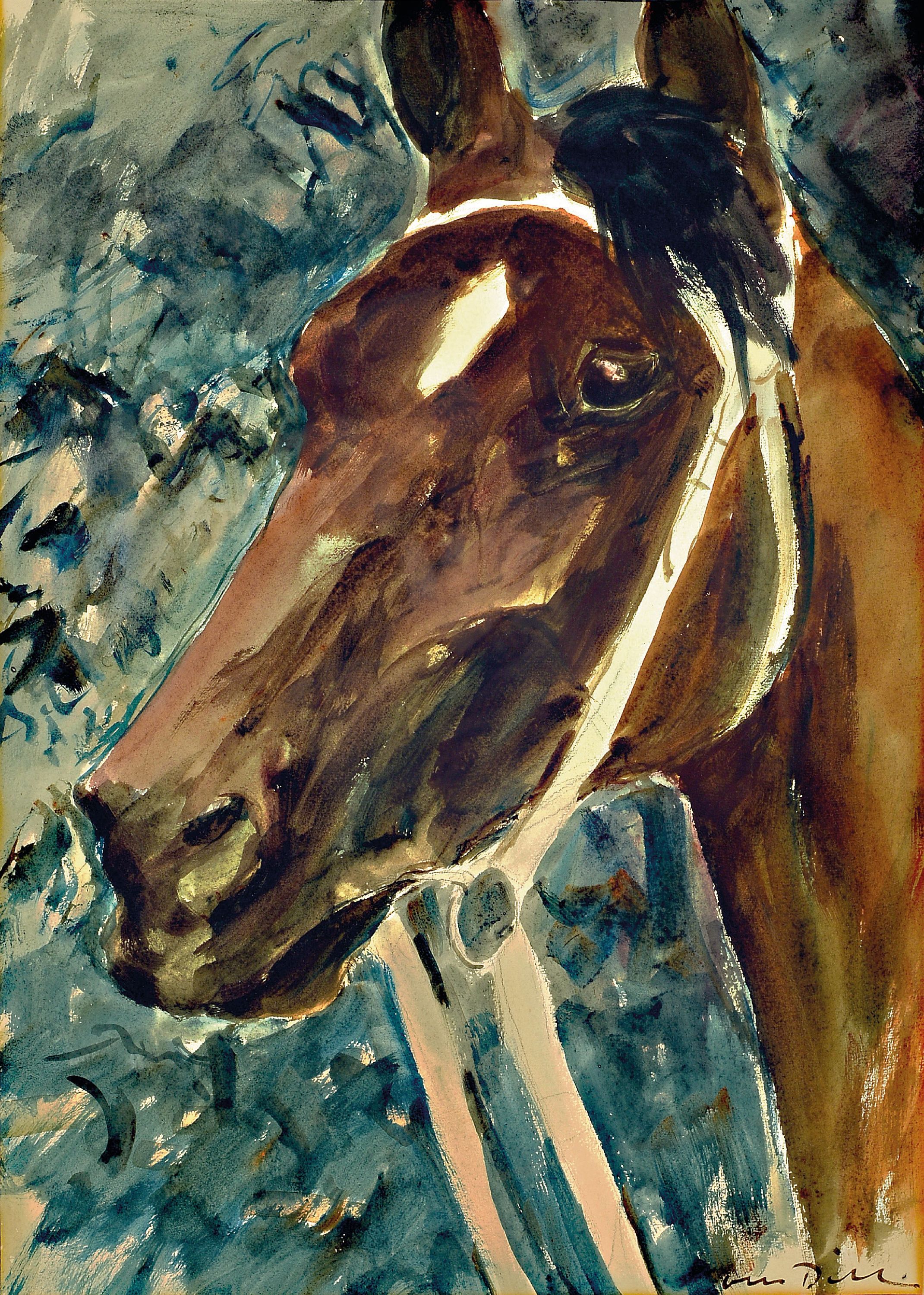 Image 27005749 - Otto Dill, 1884 Neustadt/Wstr.-1957 Bad Dürkheim, Pferdeporträt, Aquarell auf Papier, ...