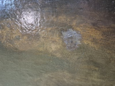 27007330e - Adolf Chwala, 1836 Prag-1900 Wien, Vollmond über heimkehrende Fischer am Strand, ...