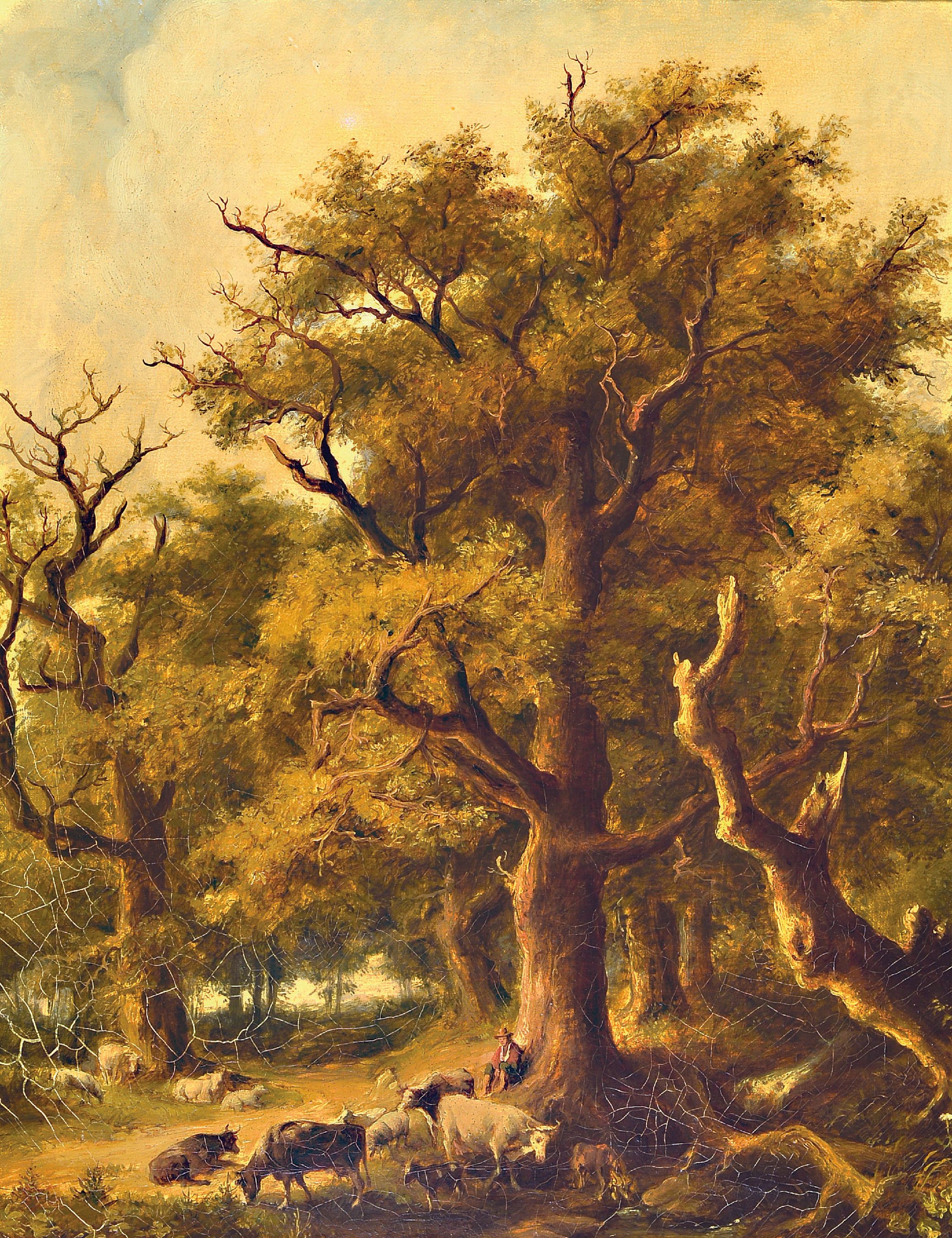 Image 27008560 - Unbekannter Künstler, wohl Niederlande, 1. Hälfte 19. Jh., Hütejunge mit Kuhherde bei ...