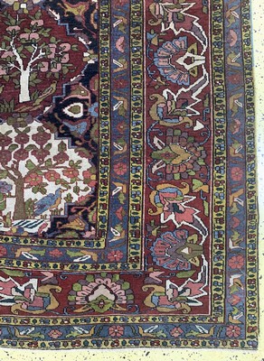 27008585a - Bachtiar´Kelley´, Persien, um 1920-1930, Wolle auf Baumwolle, ca. 402 x 207 cm, EHZ: ...