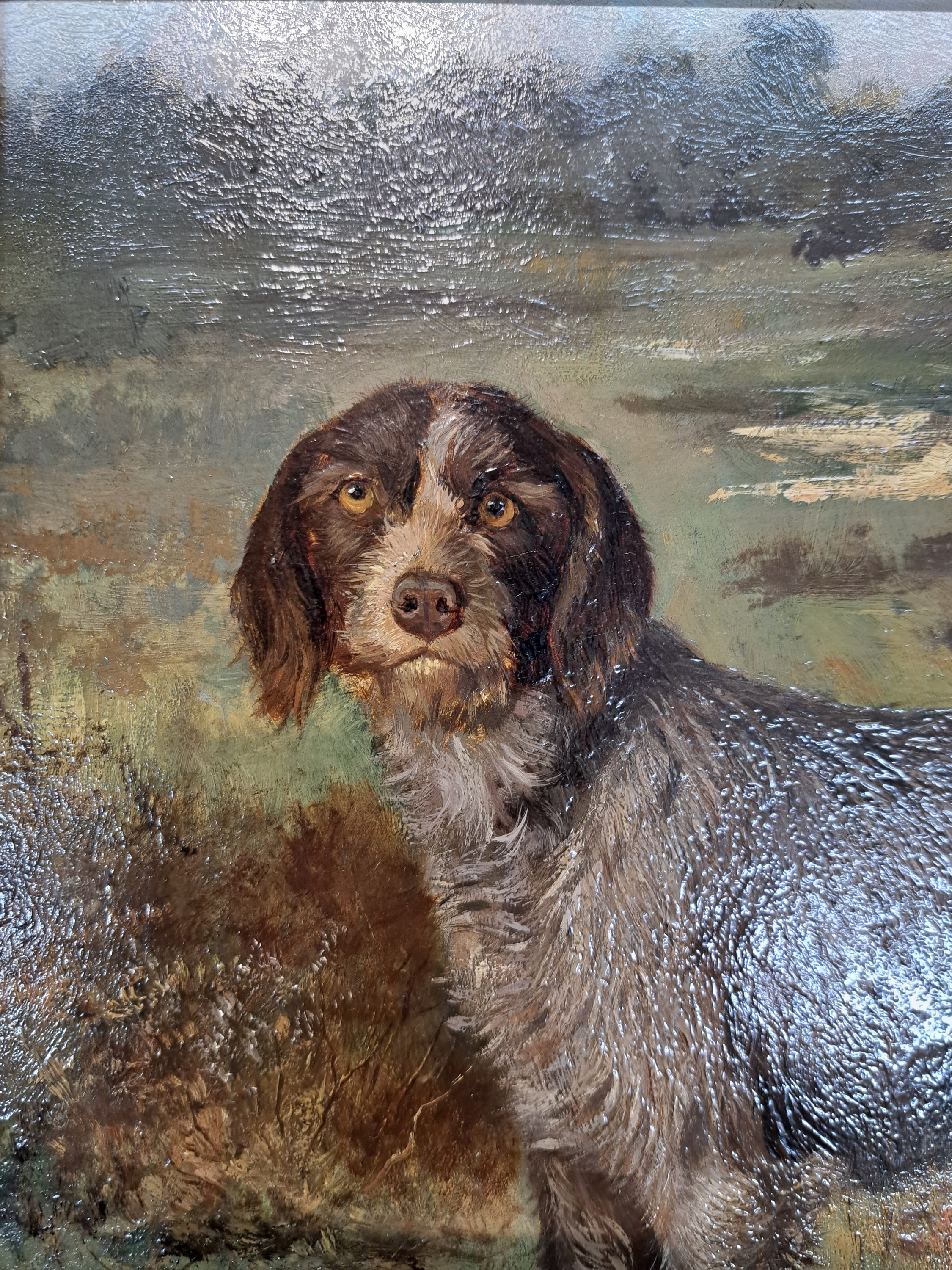 Detail c: Unbekannter Maler, 1. Hälfte 20. Jh., Darstellung eines Jagdhundes (Spinone italiano) in Moorlandschaft, Öl/Holz, unsign., ca. 32x38cm, R. ca. ...