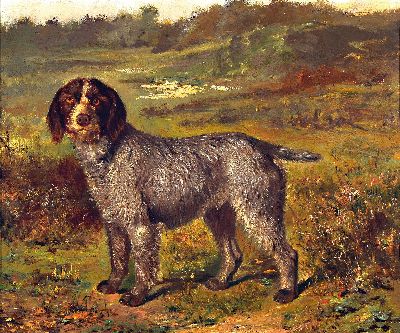 Image Unknown painter, 1st half of the 20th century, depiction of a hunting dog (Spinone ...