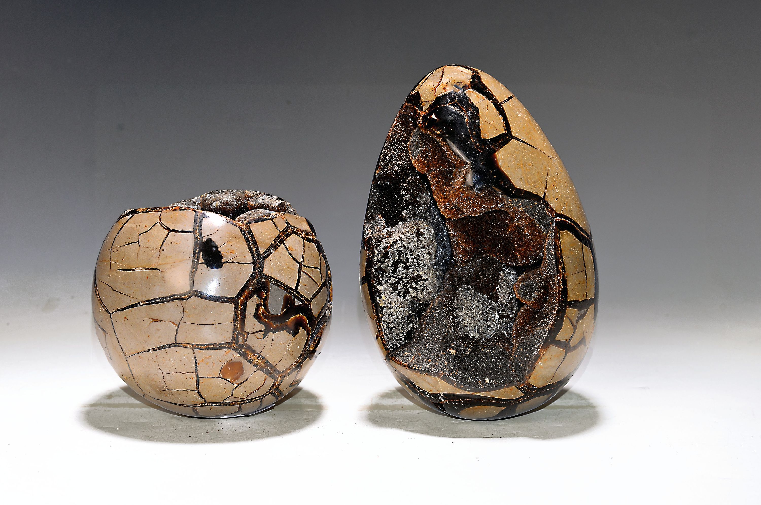 Image 27010499 - Septaria-Sphäre und sog. ´Drachenei´, Oligozän, ca. 23 bis 33 Mio. Jahre alt, ...