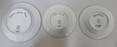 27011576b - 3 kleine Teller, Royal Copenhagen, Flora Danica, Viola umbrosa; Draba Hirta Oed. D. 14.3 ...