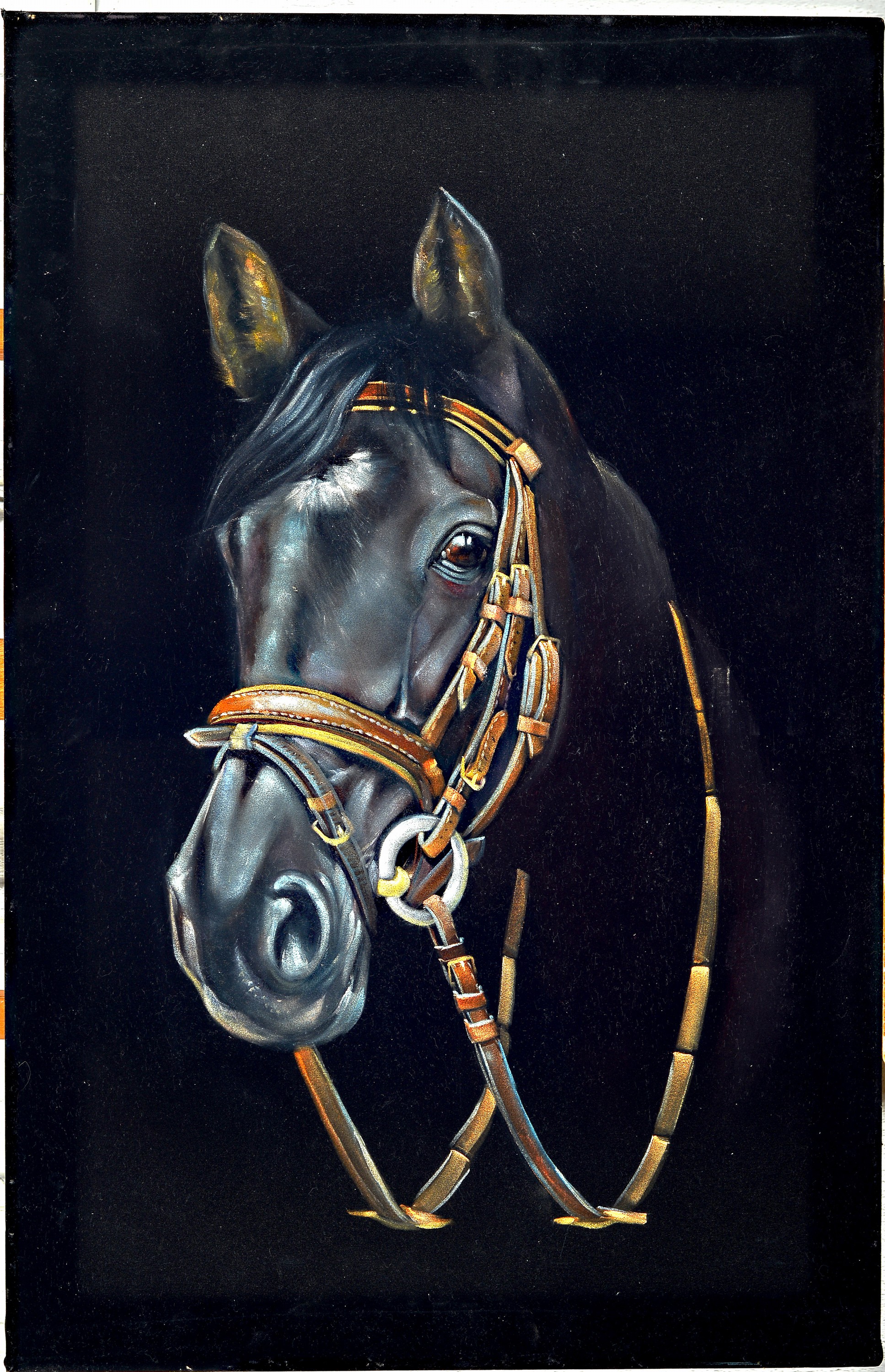 Image 27012979 - Parinaz Bajalanou, geb. 1985, zeitgenössische iranische Künstlerin, Pferdekopf auf ...