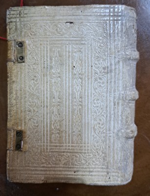 27013020b - Johannes Steelij: Regulae intelligen di scripturas sacras, Antwerpen 1553, 346 Seiten ...