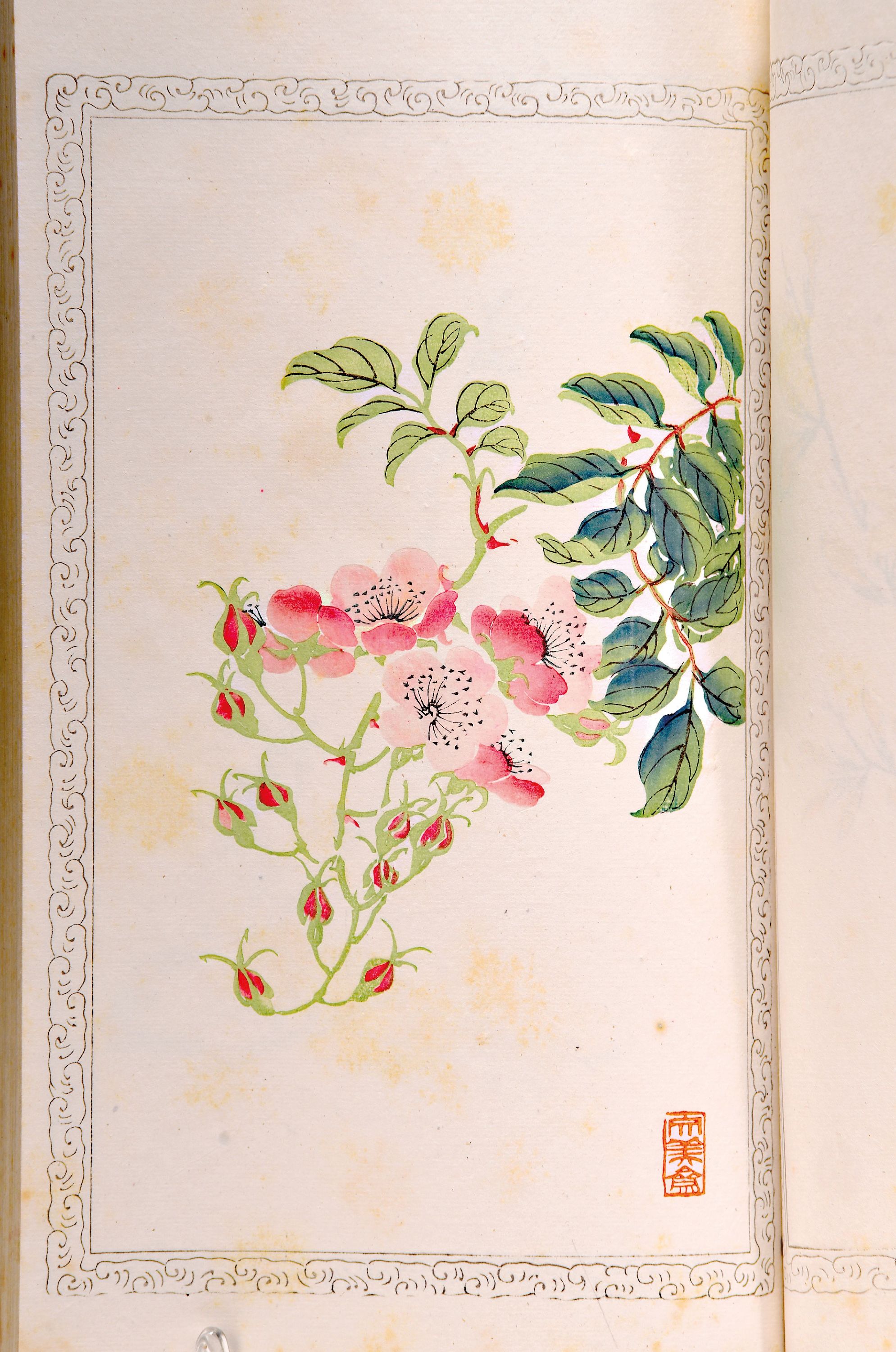 Image 27021411 - Holzschnitt-Sammlung: Zhaoxiang Zhang (1852 -1908): Bai Hua Shi jian Pu (Malanleitung der ...