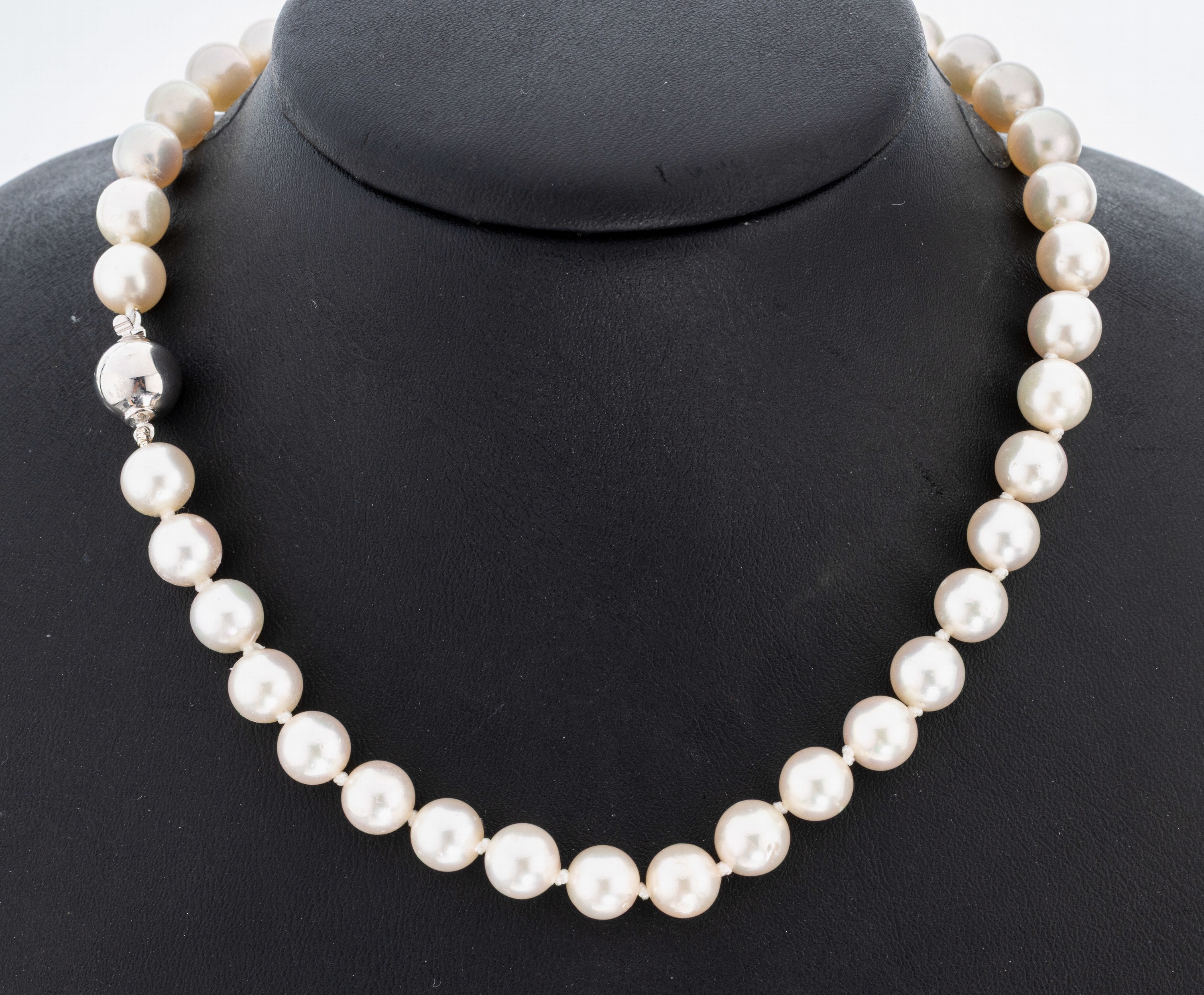 Image 27021427 - Zuchtperl-Collier, Akoyazuchtperlen, D. ca.8.2-8.5 mm, nat. Merkmale, L. ca. 86 cm, ...