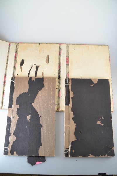 27021411b - Holzschnitt-Sammlung: Zhaoxiang Zhang (1852 -1908): Bai Hua Shi jian Pu (Malanleitung der ...