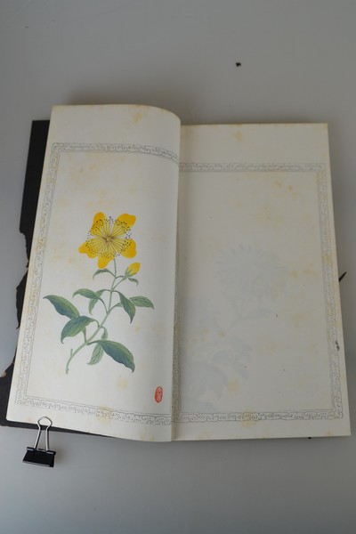 27021411c - Holzschnitt-Sammlung: Zhaoxiang Zhang (1852 -1908): Bai Hua Shi jian Pu (Malanleitung der ...