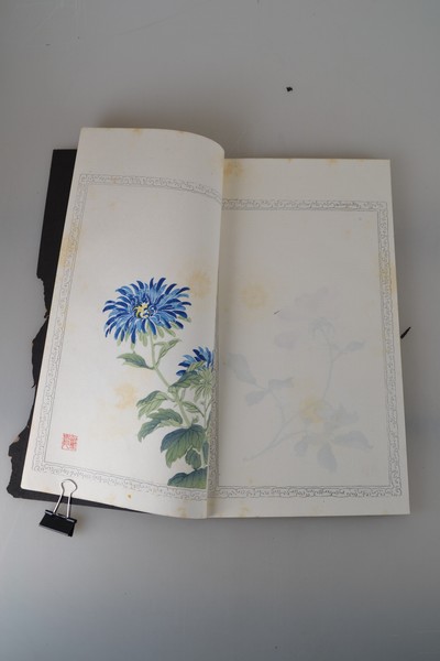 27021411d - Holzschnitt-Sammlung: Zhaoxiang Zhang (1852 -1908): Bai Hua Shi jian Pu (Malanleitung der ...