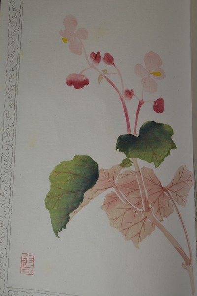 27021411e - Holzschnitt-Sammlung: Zhaoxiang Zhang (1852 -1908): Bai Hua Shi jian Pu (Malanleitung der ...