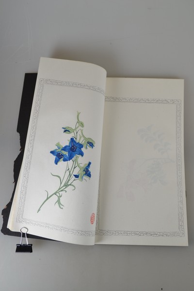 27021411f - Holzschnitt-Sammlung: Zhaoxiang Zhang (1852 -1908): Bai Hua Shi jian Pu (Malanleitung der ...