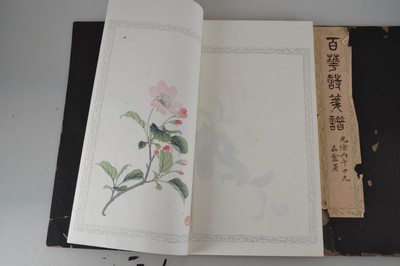 27021411q - Holzschnitt-Sammlung: Zhaoxiang Zhang (1852 -1908): Bai Hua Shi jian Pu (Malanleitung der ...