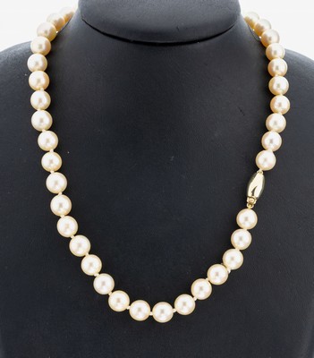 Image Zuchtperl-Collier mit 14 kt Gold Schließe, GG 585/000, champagnerf. Akoyazuchtperlen, ...