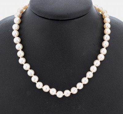 Image Zuchtperl-Collier, endlos, Akoyazuchtperlen, D. ca. 7.5-8 mm, nat. Merkmale, L. ca. 165 ...