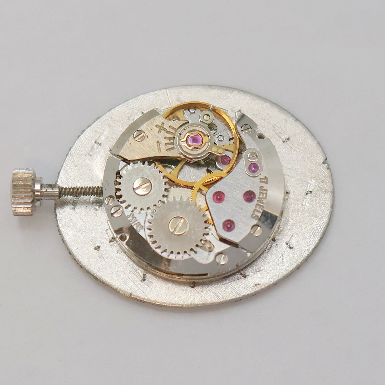Detail g: SARCAR Damenarmbanduhr in WG 585/000, Schweiz um 1965, Handaufzug, ovales Geh. inkl. SEIKO Goldband m. Klappschl., Boden aufgedr., Lünette m. ...