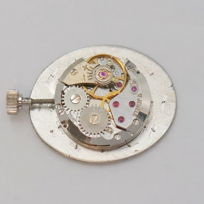 27023392g - SARCAR Damenarmbanduhr in WG 585/000, Schweiz um 1965, Handaufzug, ovales Geh. inkl. ...