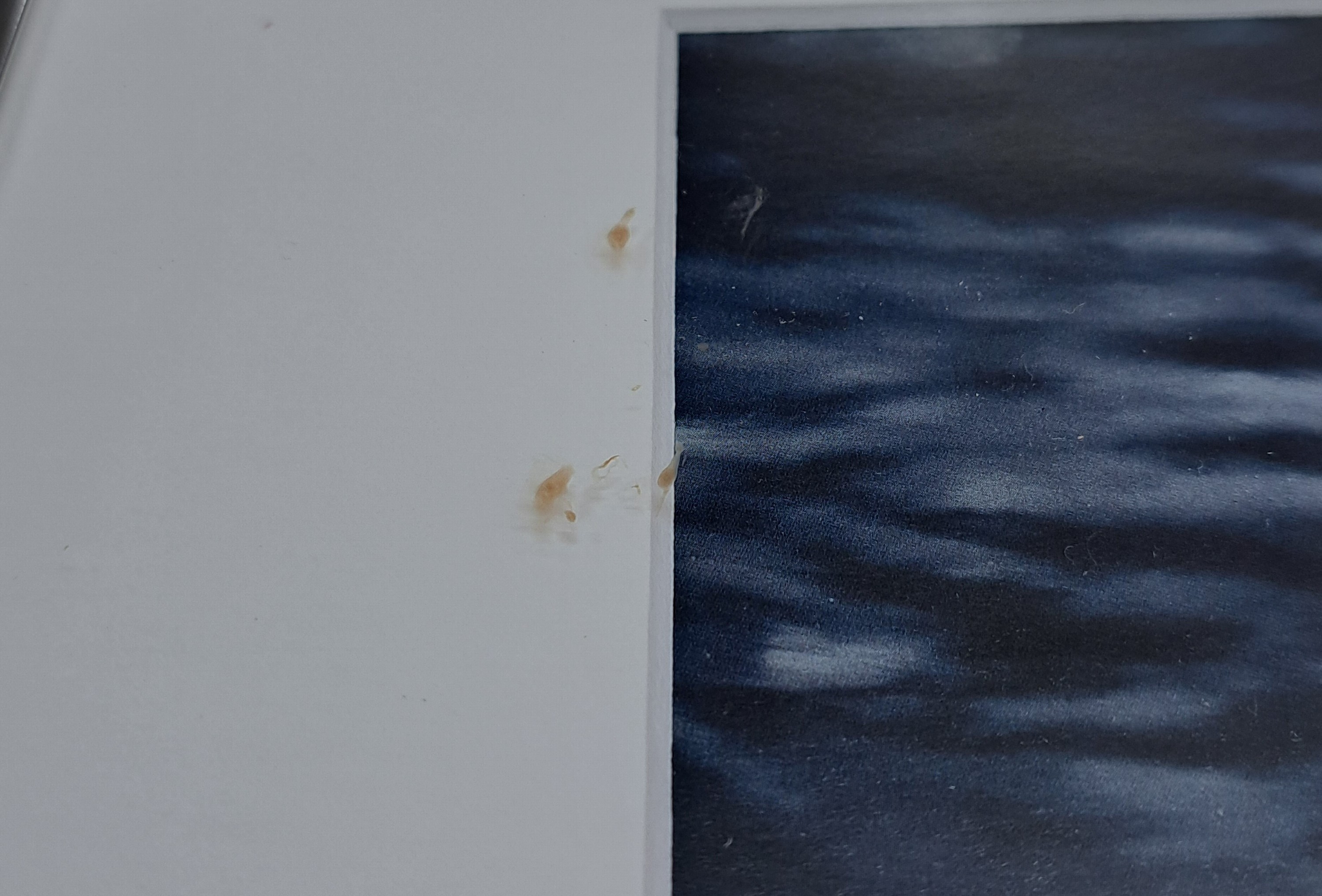 Detail c: Gerhard Richter, geb. 1932, "See See", Offsetlithografie, Neue Nationalgalerie Berlin 2012, handsign., Blattgr.60x60 cm, R. 73x74 cm