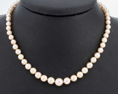 Image Perl-Collier mit 14 kt Gold Schließe, GG/WG585/000, Zuchtperlen im Verlauf, D. ca. ...