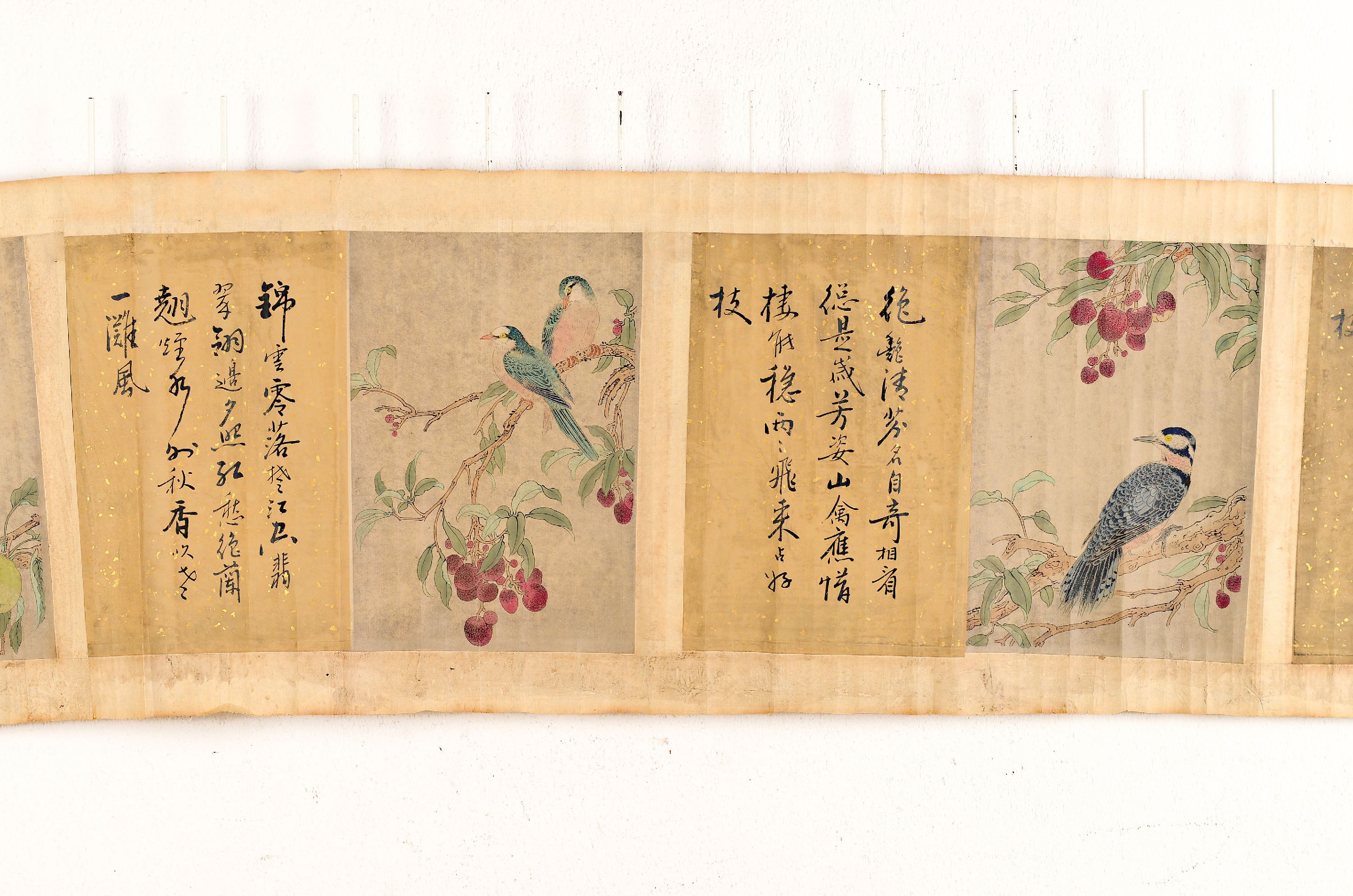 Image 27025031 - Kalligraphie-Farbholzschnitt-Rolle, China, 19. Jh., 6 versch., Tierdarstellungen und ...