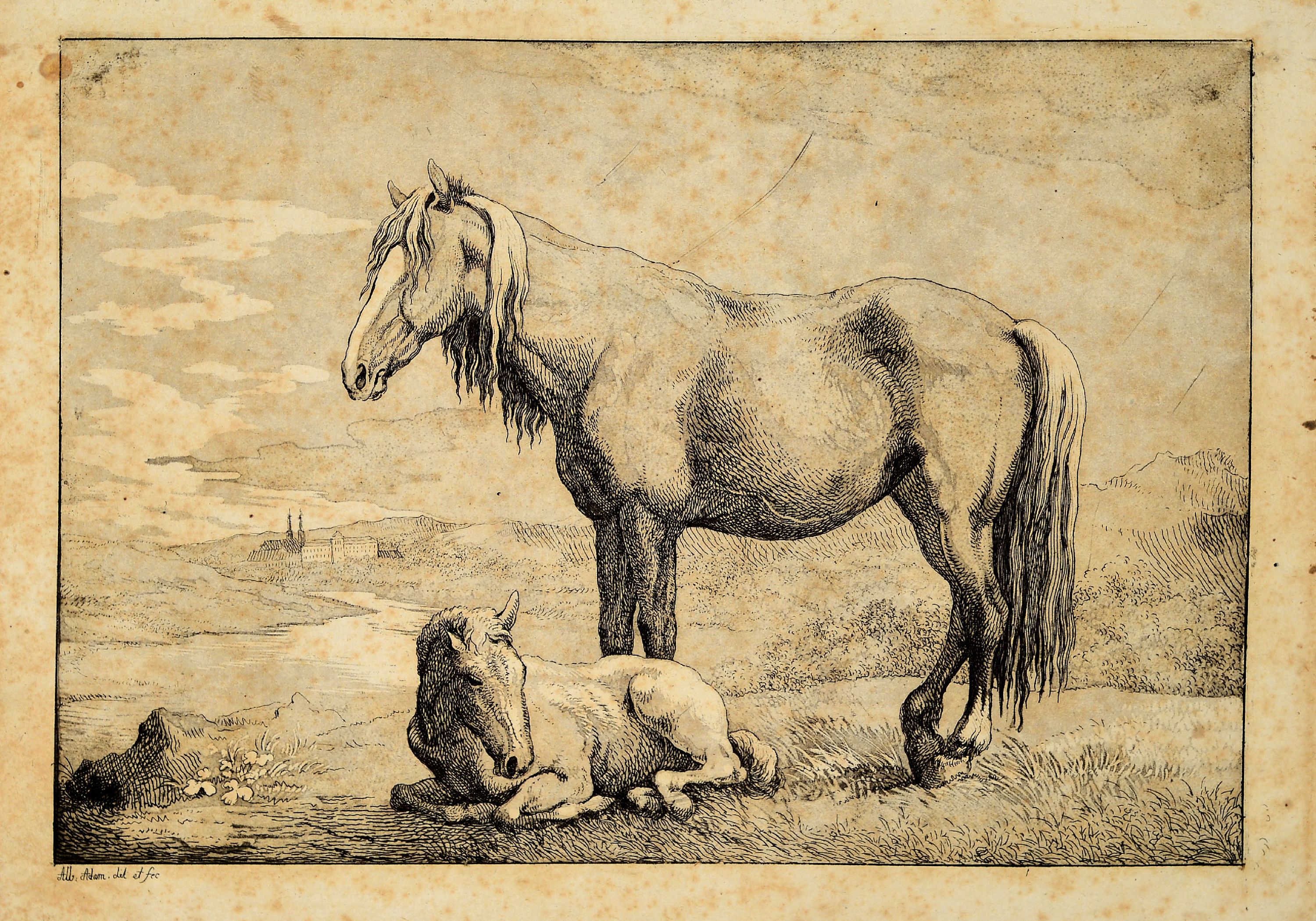 Image 27029547 - Albrecht Adam, 1786 Nördlingen-1862 München, Konvolut aus 5 Radierungen: Pendants ...