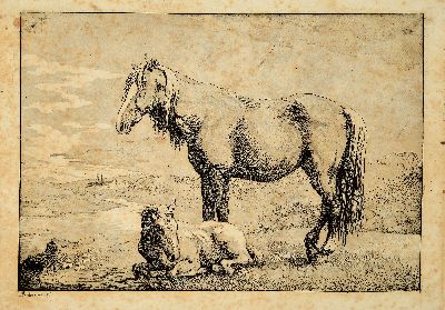 Image Albrecht Adam, 1786 Nördlingen-1862 Munich, mixed lot of 5 etchings: counterparts horse ...