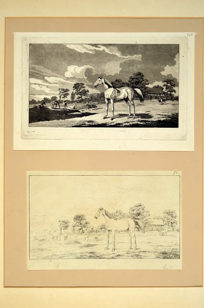 27029547b - Albrecht Adam, 1786 Nördlingen-1862 München, Konvolut aus 5 Radierungen: Pendants ...