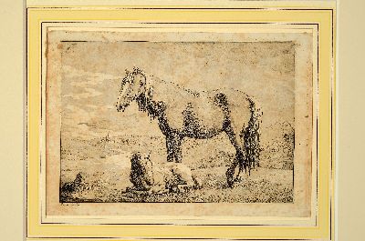 27029547k - Albrecht Adam, 1786 Nördlingen-1862 München, Konvolut aus 5 Radierungen: Pendants ...