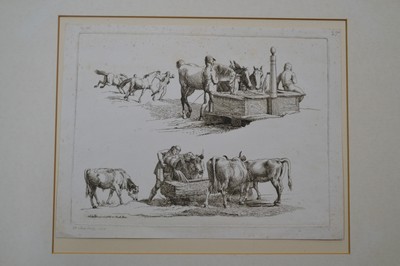 27029713c - Albrecht Adam, 1786 Nördlingen-1862 München, Konvolut aus 5 Radierungen: 2 ...