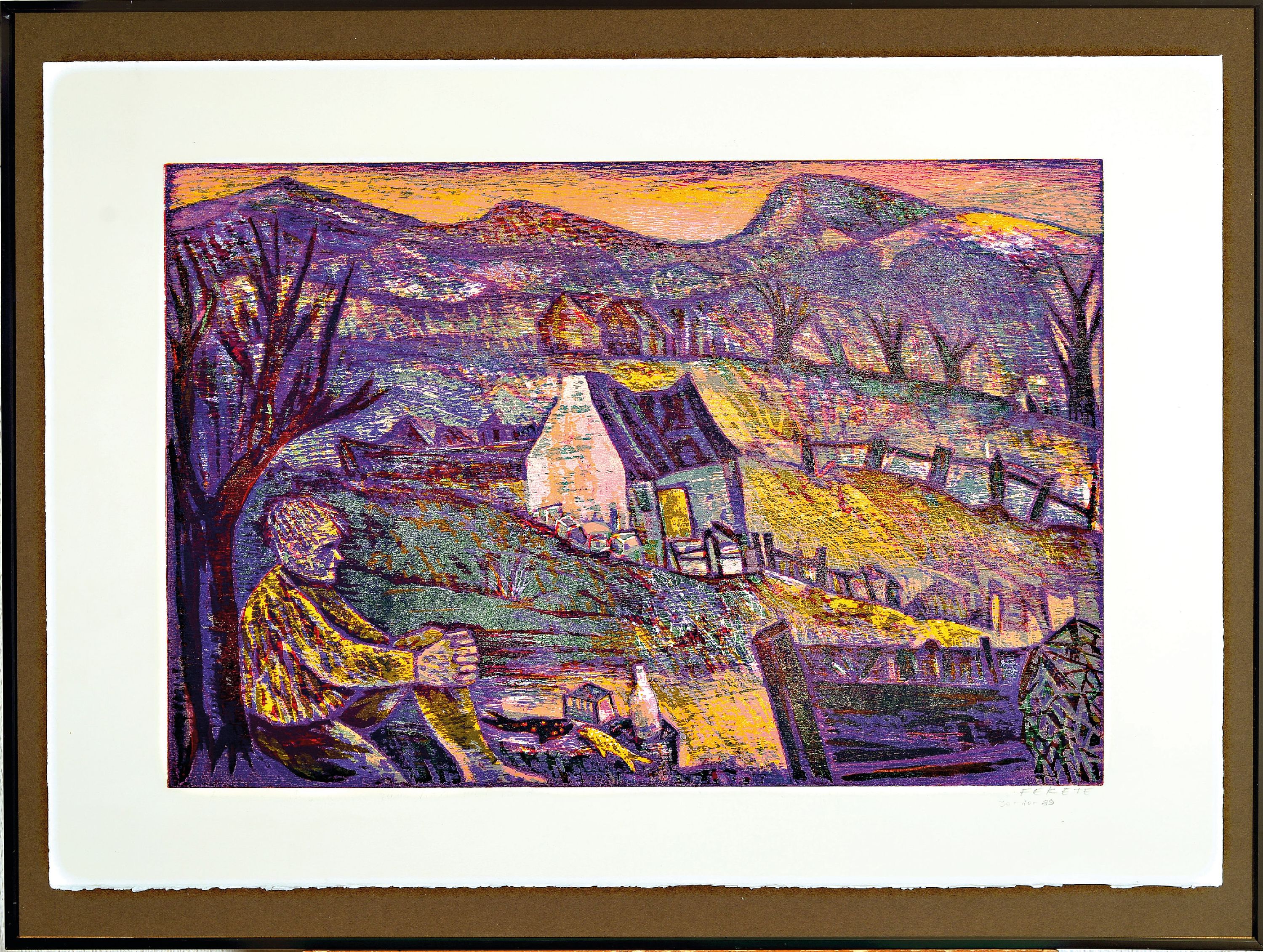 Detail k: Esteban Fekete, 1924 Budapest-2009 Dieburg, bekannter deutsch-argentinischer Künstler und Farbholzschneider, hier. Sammlung aus 8 Farbholzschnitten: ...