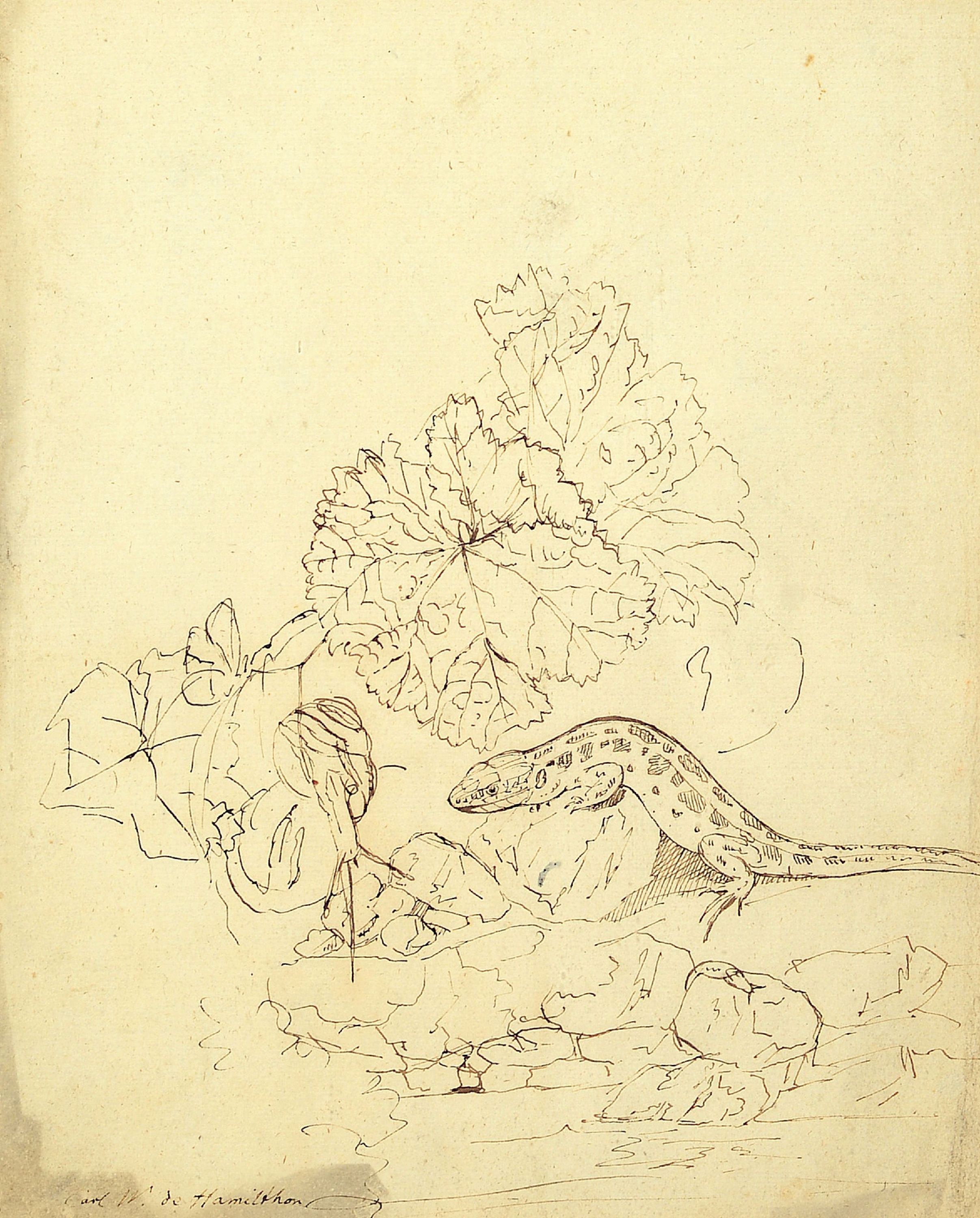 Image 27029850 - Carl Wilhelm de Hamilton, auch Charles William de Hamilton, 1668 Brüssel-1754 Augsburg, ...