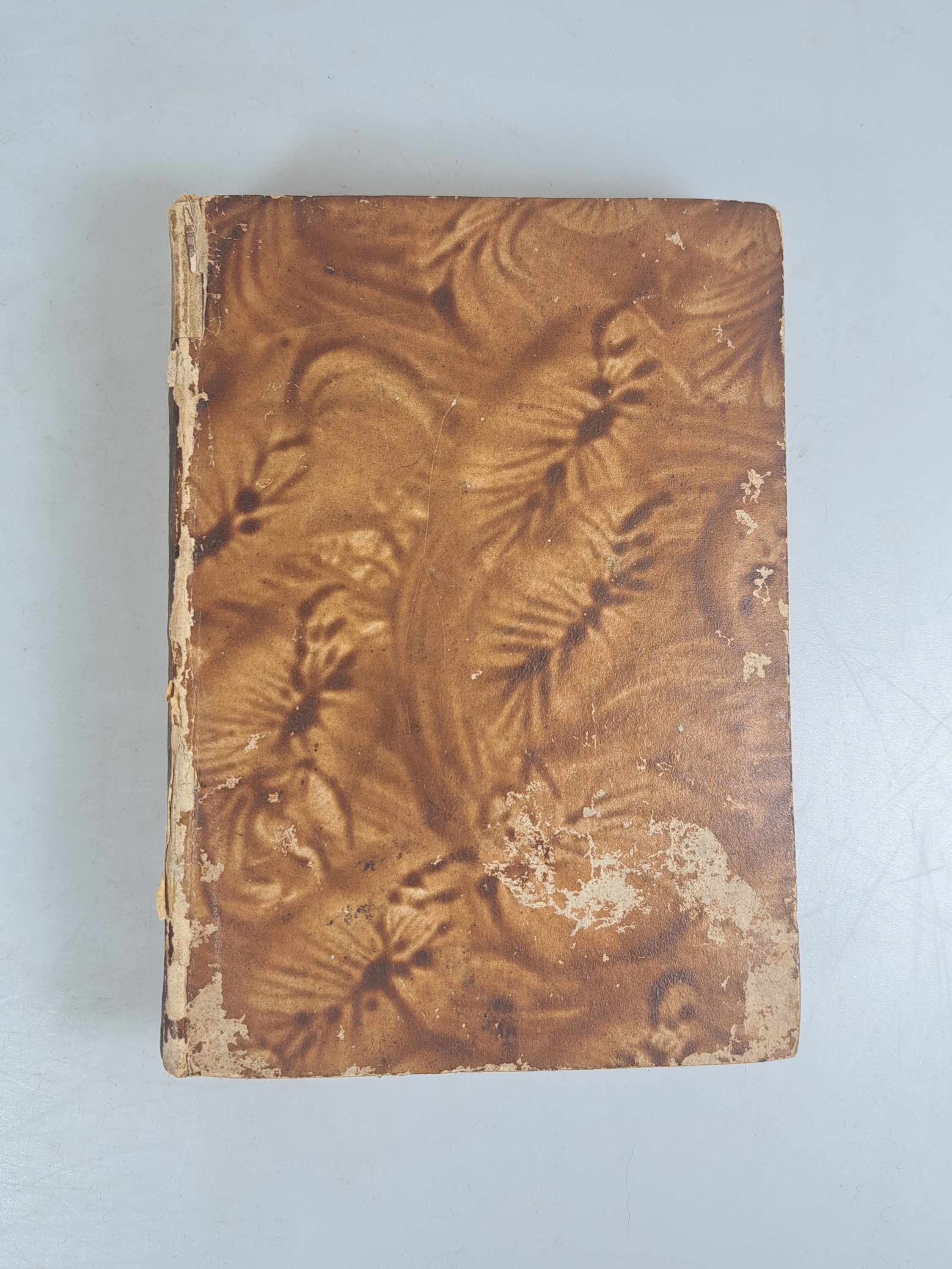 Detail e: Pierre de La Ramee auch Petrus Ramus (1515 -1572): P. Virgilii maronis Georgica, Paris, Andreas Wechel 1564, kl.8°, 208 S., Pb. sekundär ...