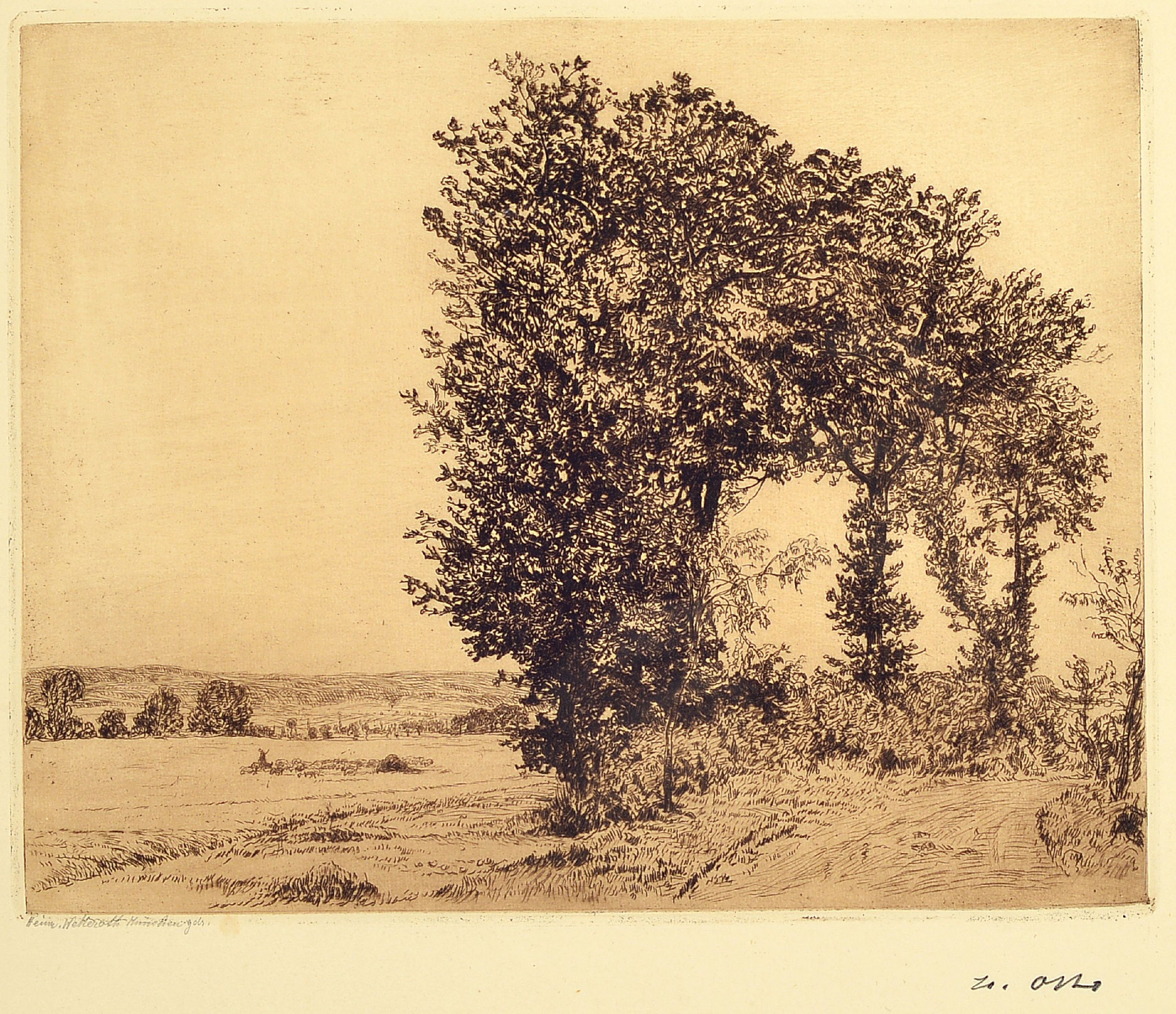 Image 27033459 - Heinrich Otto, 1858 Wernswig-1923 Düsseldorf, Mitglied der Willinghäuser Malerkolonie, ...