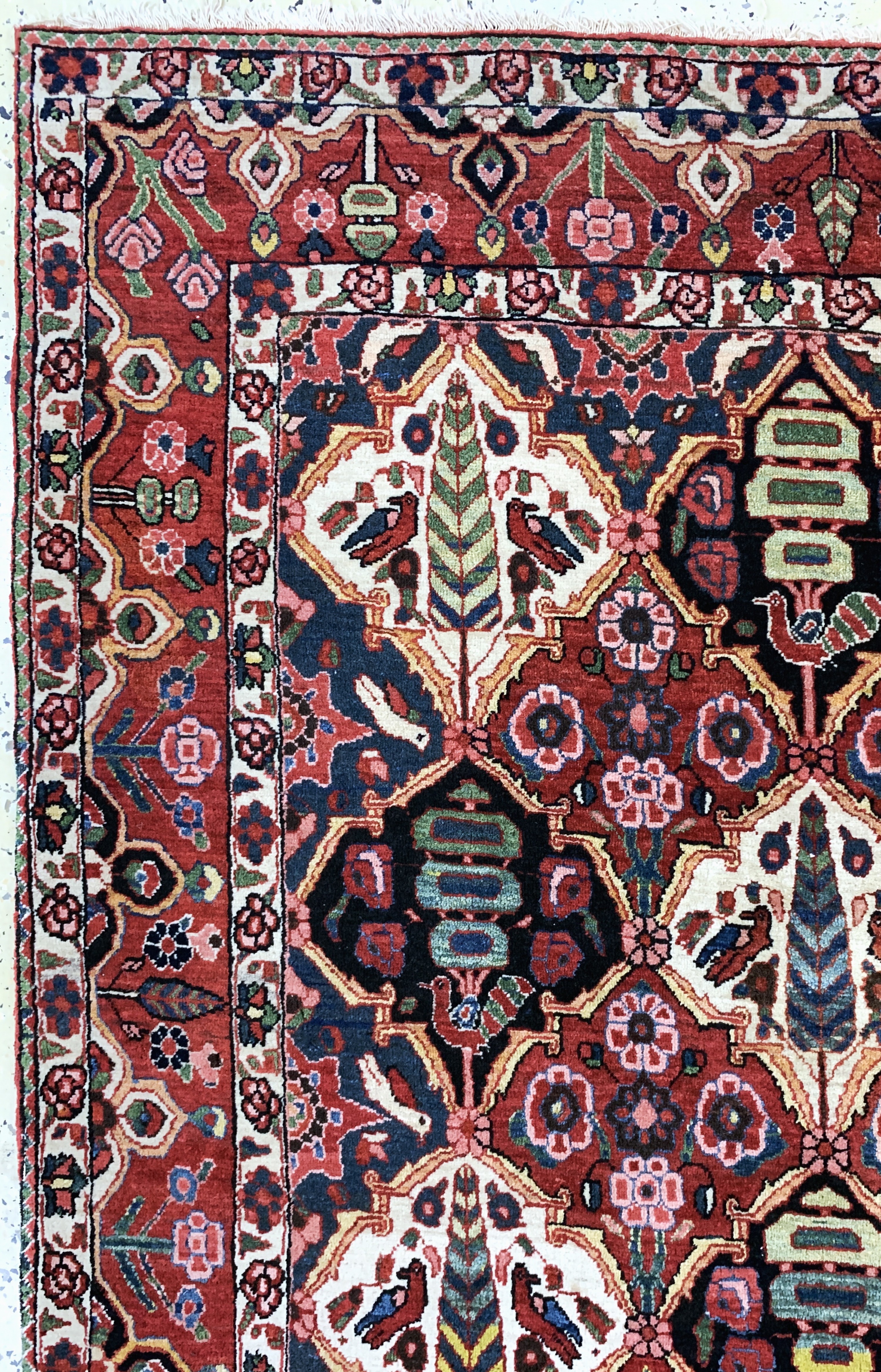 Detail c: Saman Bachtiar, Persien, Anfang 20.Jhd, Wolle auf Baumwolle, ca. 203 x 138 cm, EHZ: 2-3