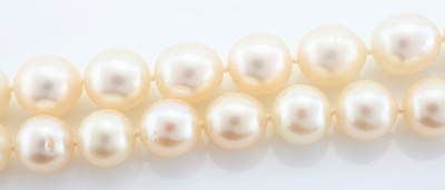 27036670c - Perl-Collier mit 18 kt Gold Perl-Diamant- Schließe, WG 750/000, 2-rhg., 1 Strang, ...