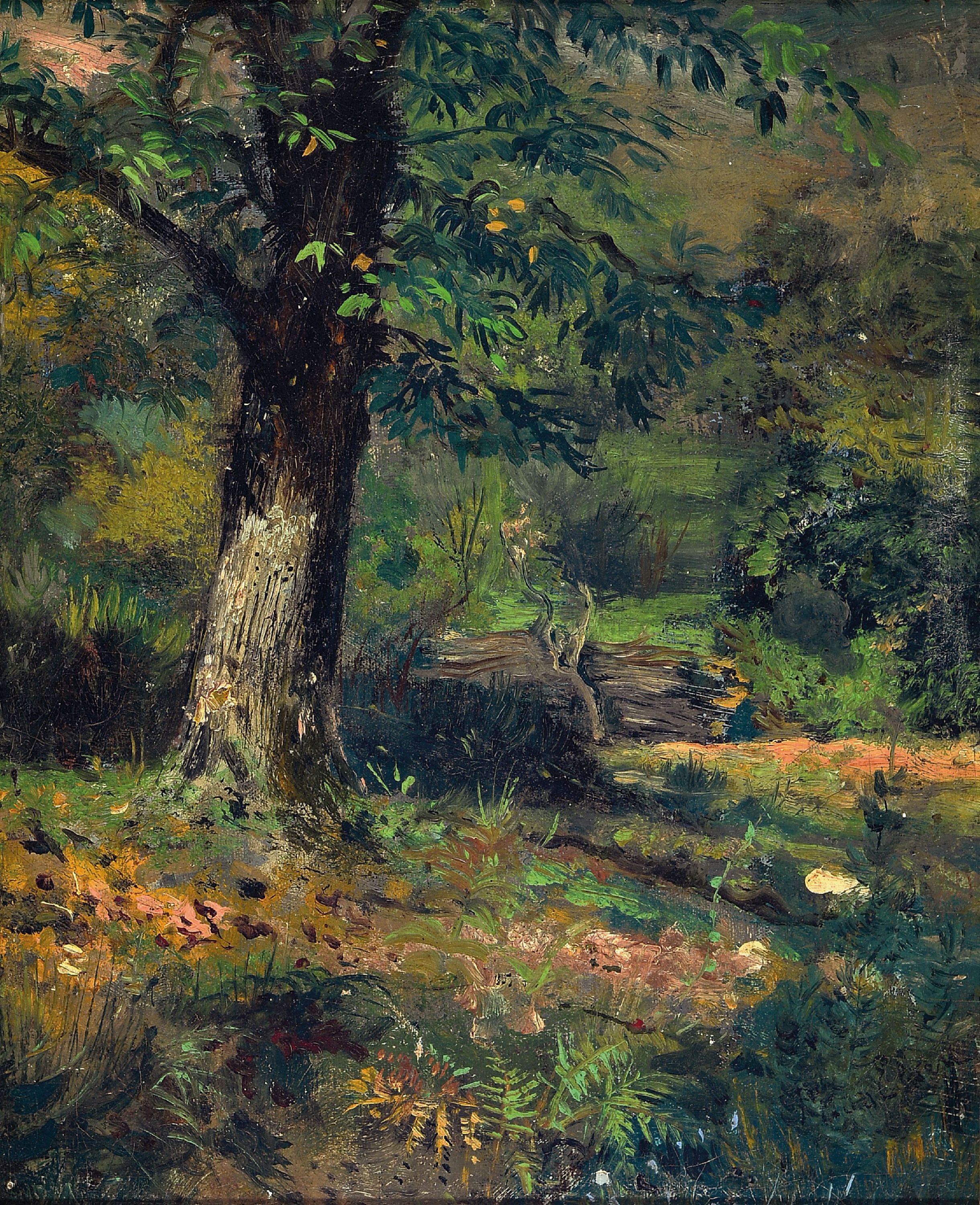 Image 27036707 - Jean Baptiste Tetar van Elven, 1815 Amsterdam-1879 Voorschoten, Naturstudie, ...