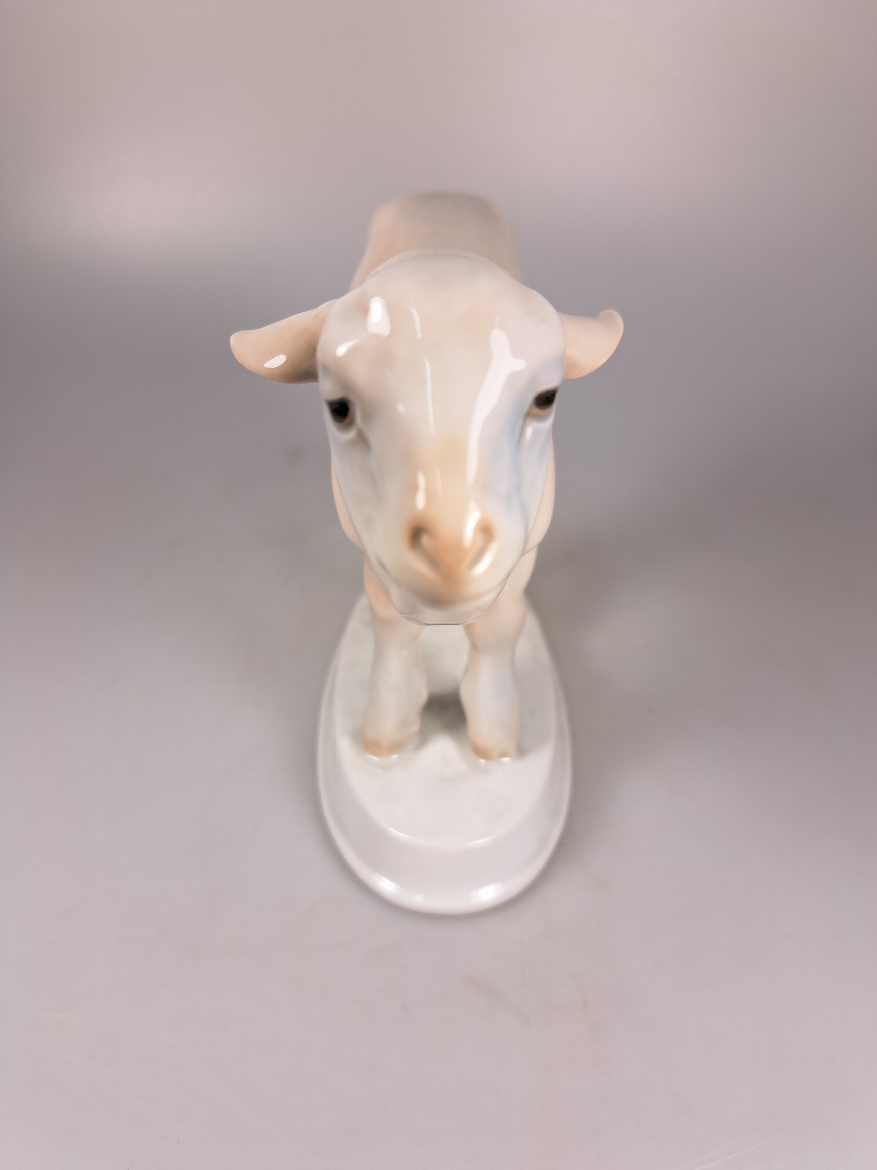 Detail d: Zwei Porzellanfiguren, erste Hälfte 20. Jh., Rosenthal, Lamm, Unterglasurbemalung, K 67, ca. 15 x 18 cm, grasendes Lama, Bing und Gröndahl, ...
